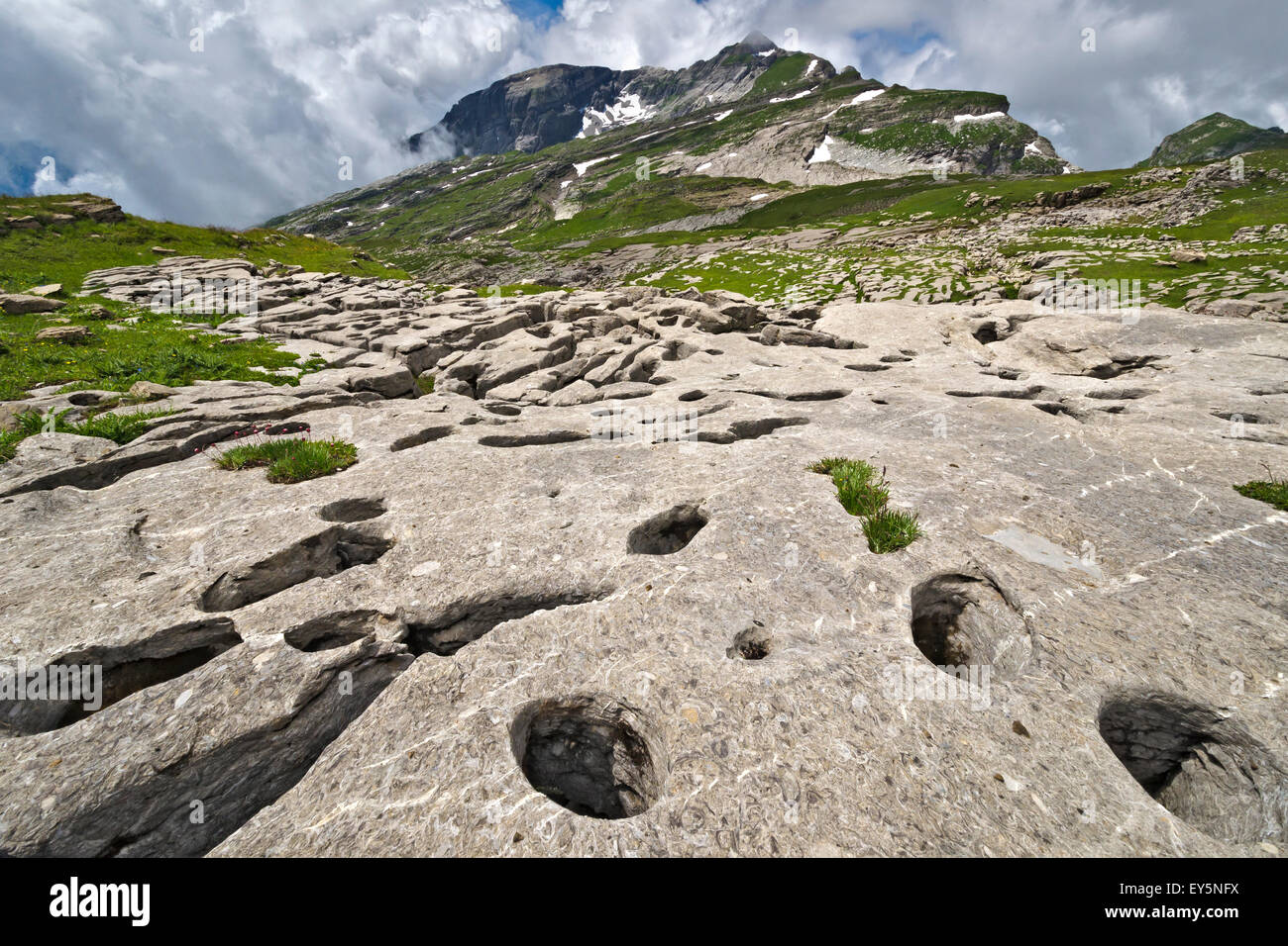 La caliza rica Cerithes - Desert Platé Alpes Francia rocas del Eoceno (- 37 Ma) formado en una laguna salobre Foto de stock