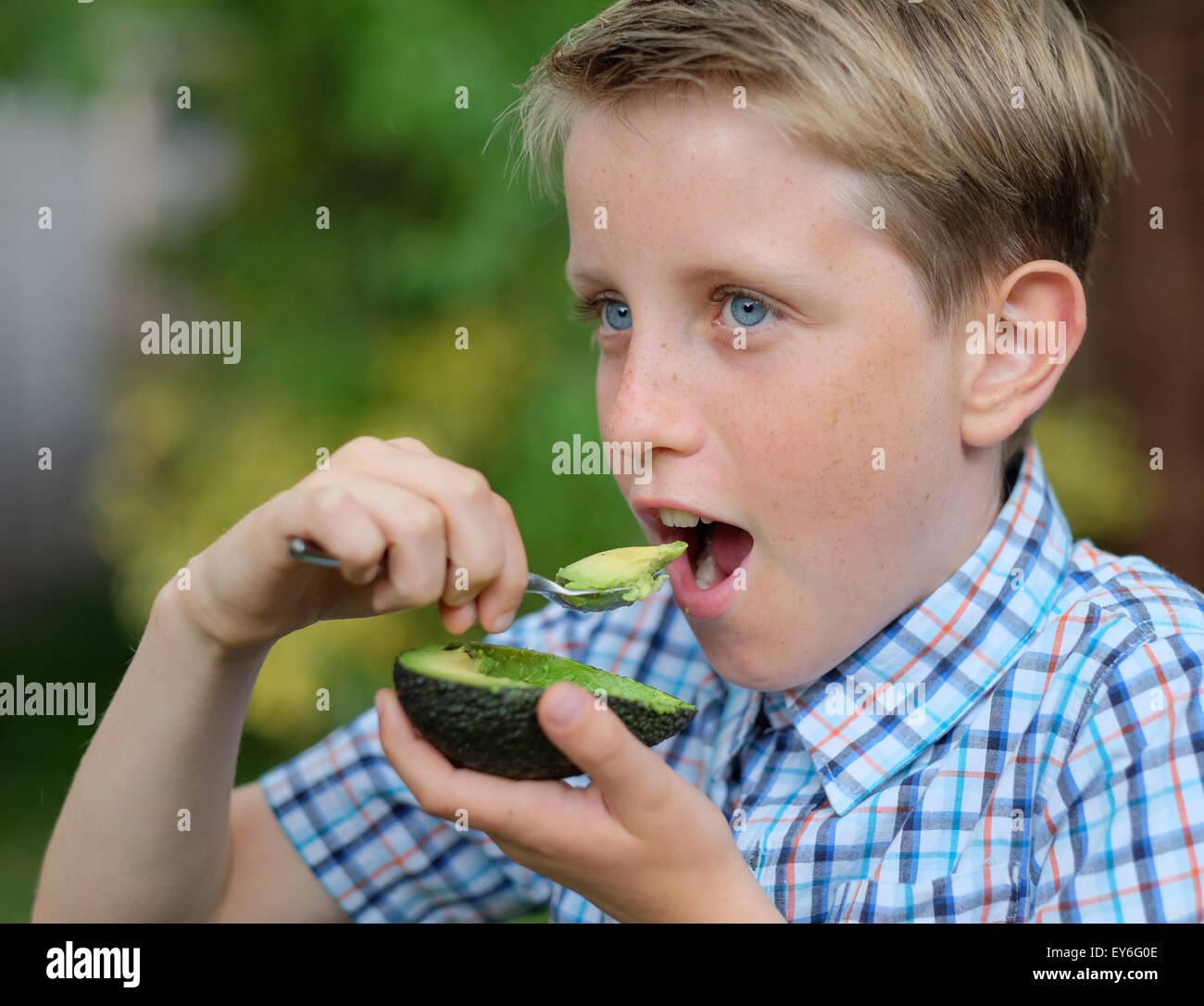 Un niño comiendo un aguacate con una cuchara como un bocadillo sano Foto de stock
