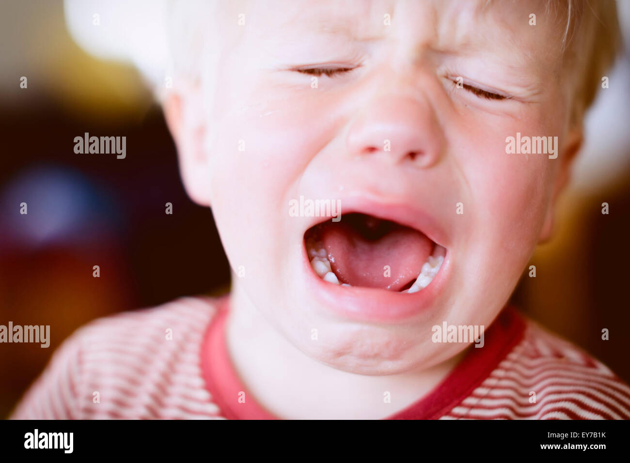 Joven muchacho infantil, 2 años, llorando. Foto de stock