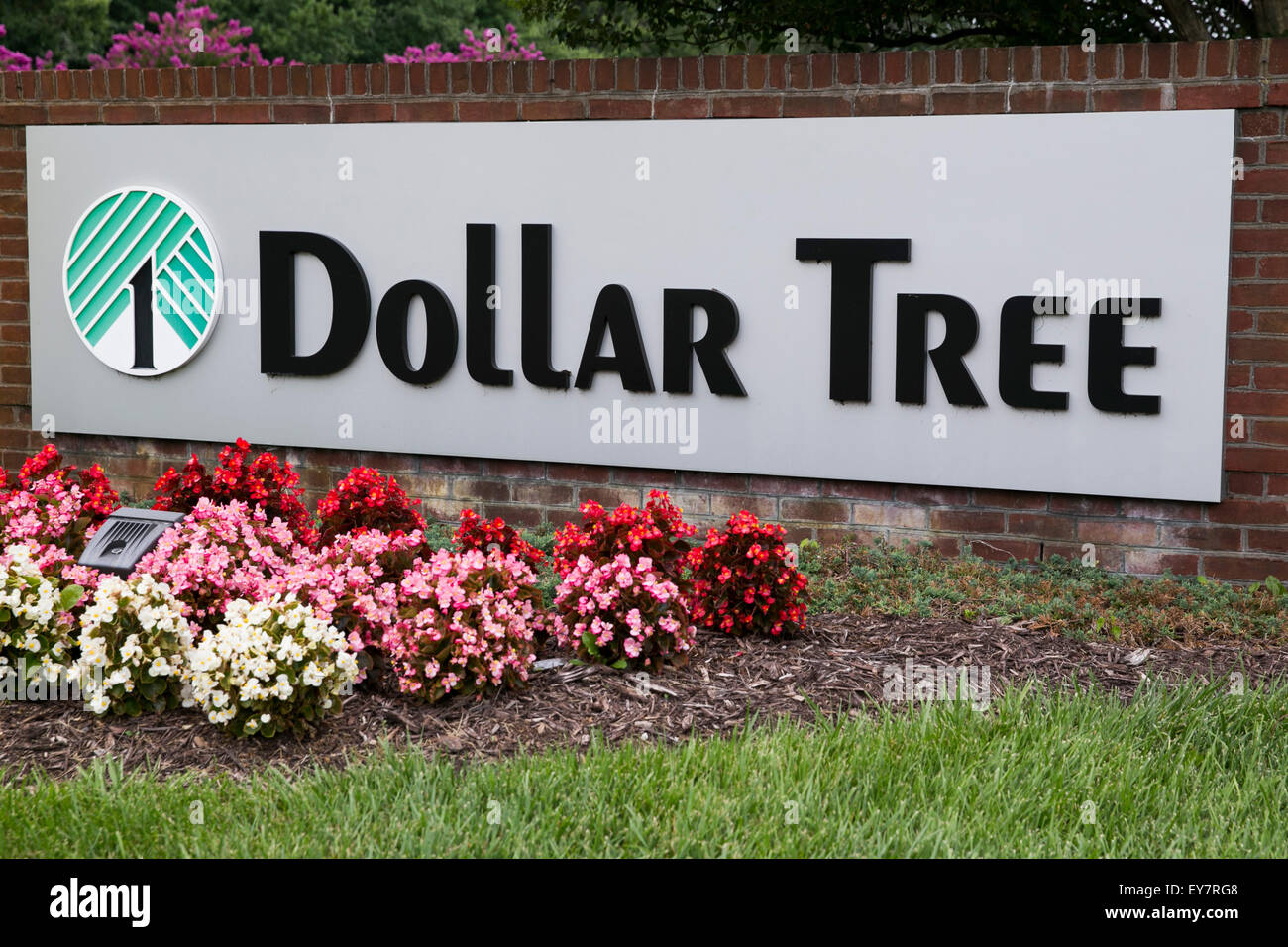 Árbol Logo Fotos e Imágenes de stock Alamy