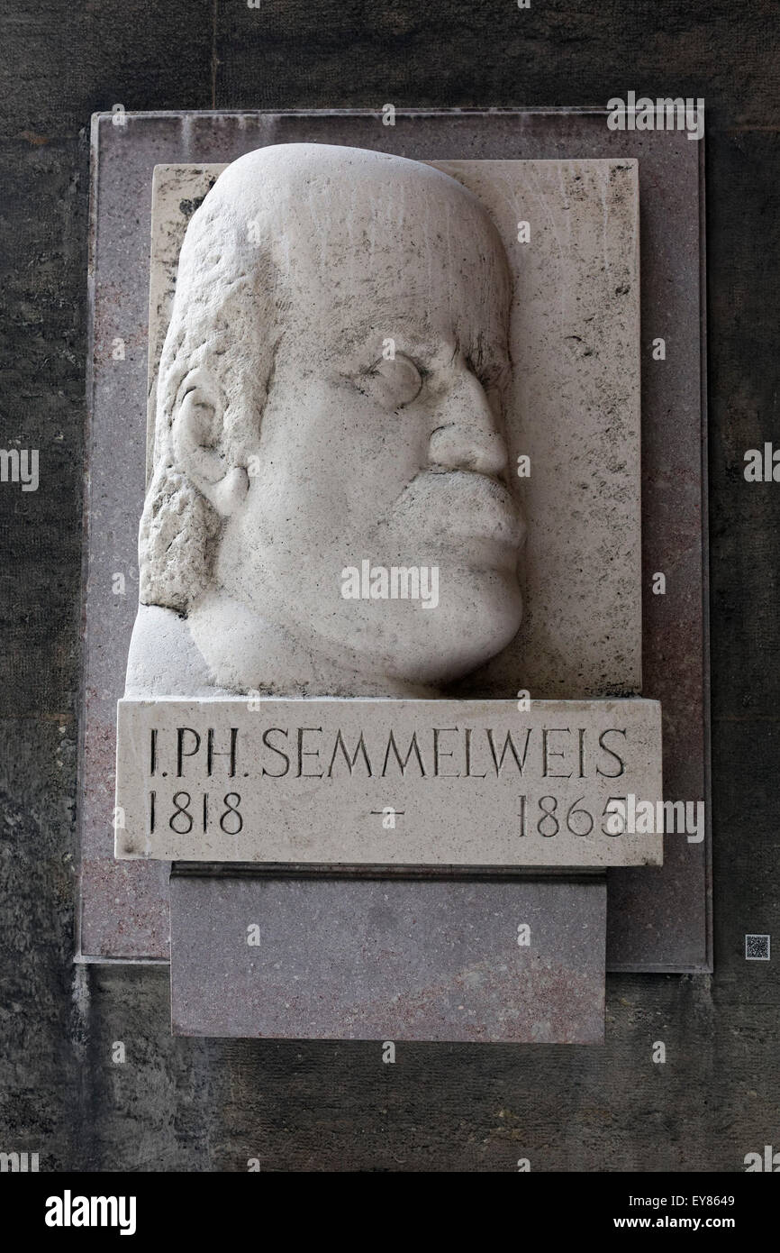 Monumento de piedra para el médico Ignaz Semmelweis, patio porticado de la Universidad de Viena, el Ringstrasse, Viena, Austria Foto de stock