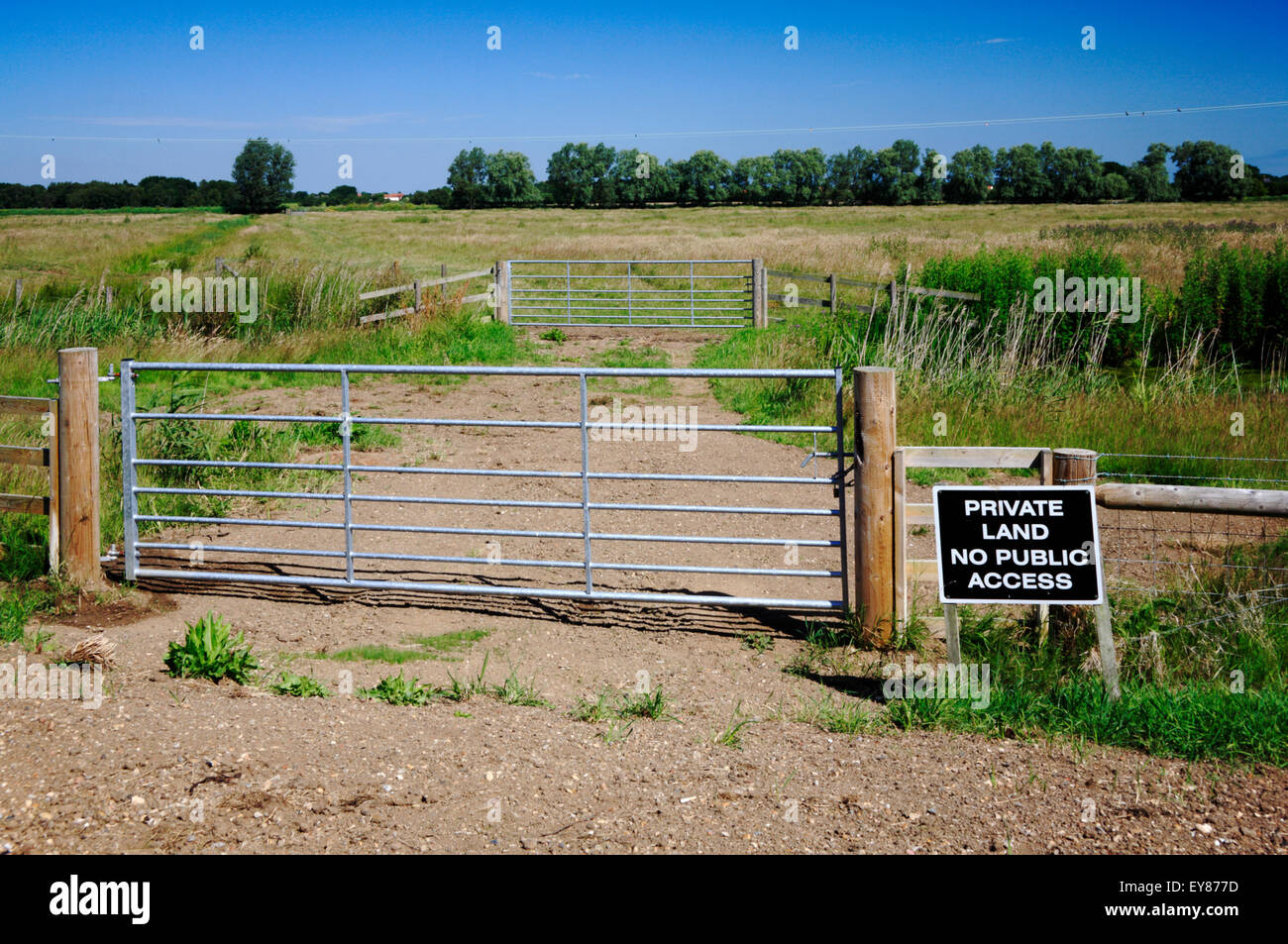 Las puertas cerradas con signo de tierras privadas al pastoreo marismas de Potter Heigham, Norfolk, Inglaterra, Reino Unido. Foto de stock