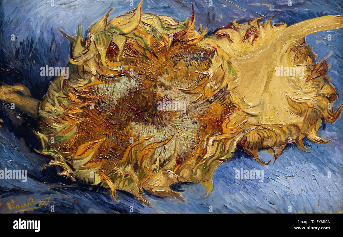 Vincent van Gogh (1853-1890). Los girasoles, 1887. Óleo sobre lienzo. Museo Metropolitano de Arte de Nueva York, EE.UU. Foto de stock