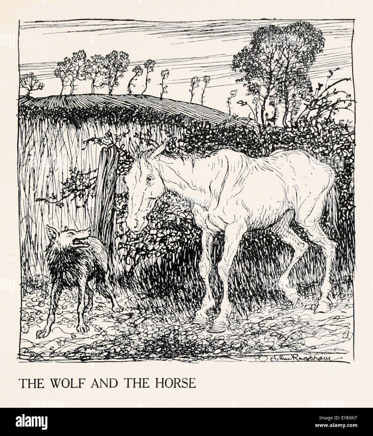 El lobo y el caballo' de la fábula de Esopo (circa 600 BC). Un lobo se  reunió un caballo que sale de un campo de avena. Wolf aconsejó a caballo  para comer