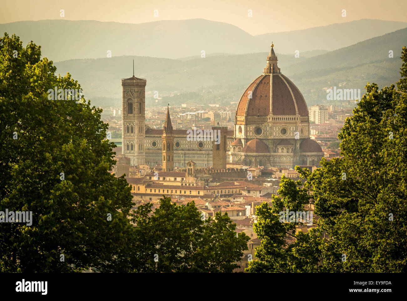 La fachada sur de la Catedral de Florencia vislumbró los árboles de San Miniato al Monte. Florencia. Italia. Foto de stock