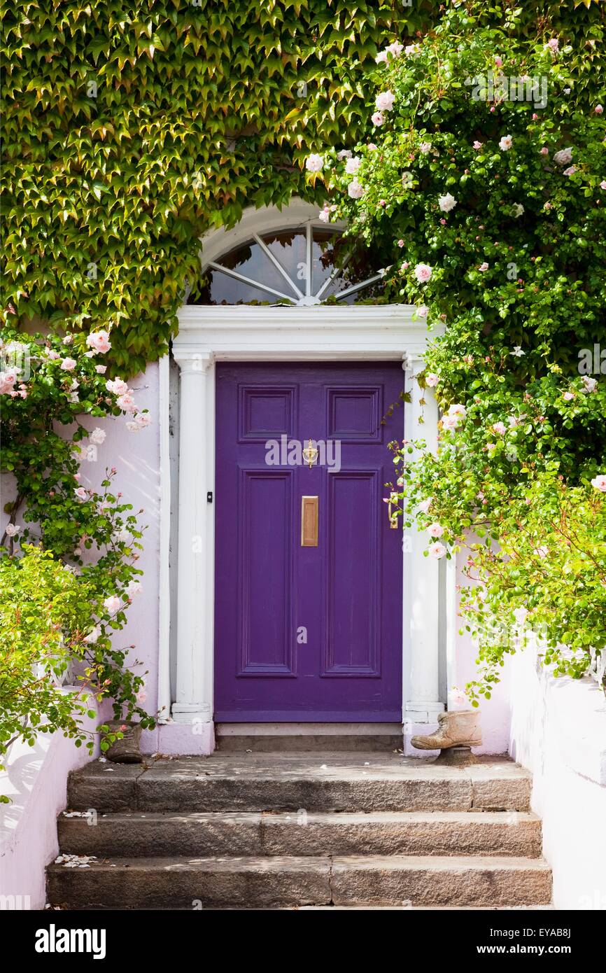 Puerta púrpura fotografías e imágenes de alta resolución - Alamy
