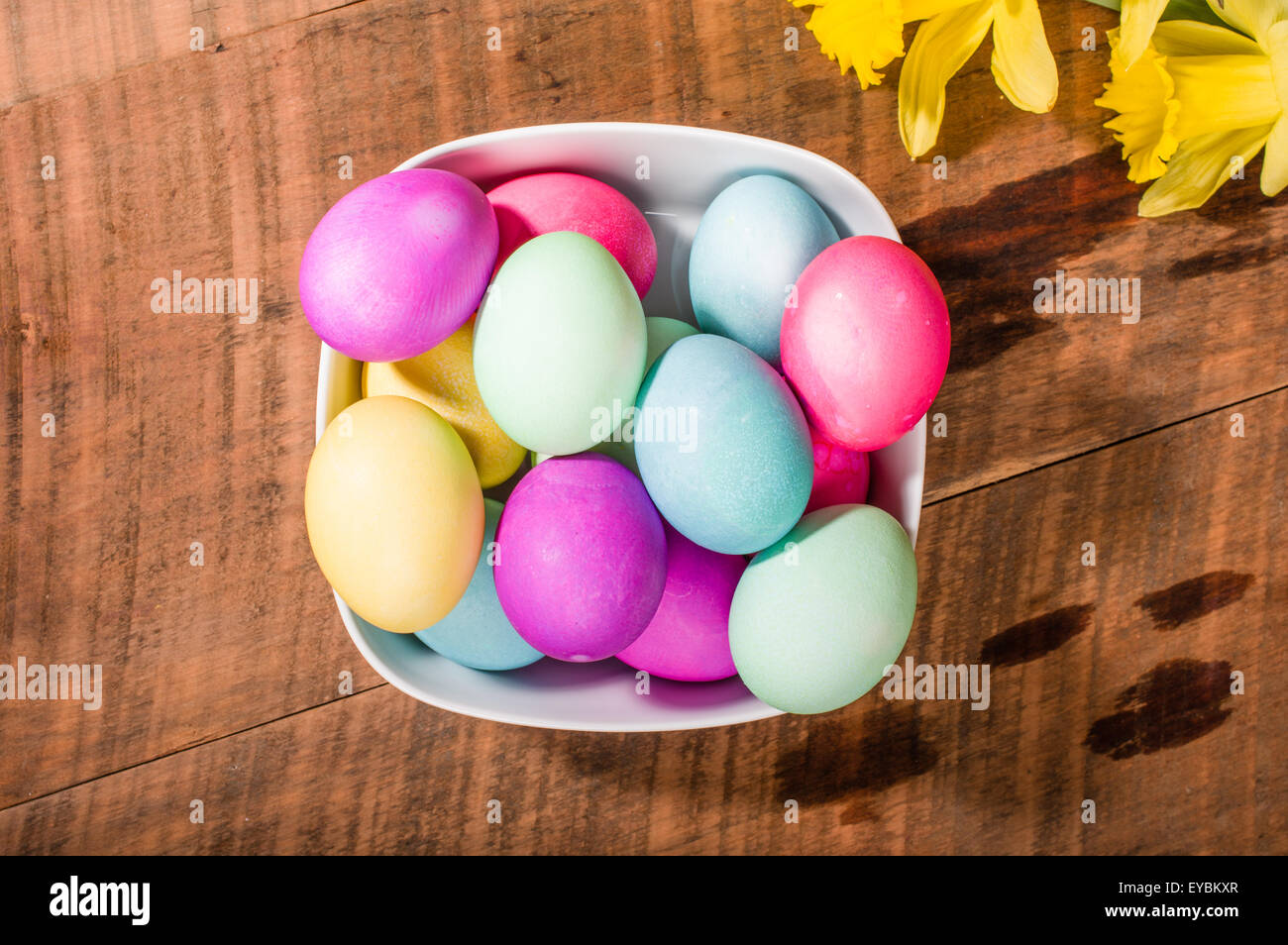 Narciso flores con recipiente de teñido de huevos de Pascua Foto de stock