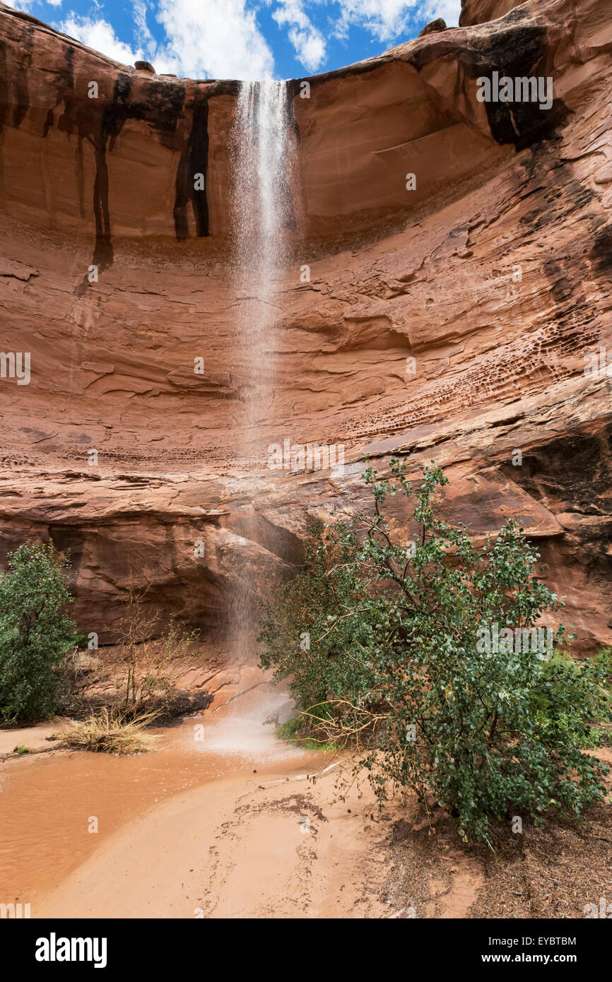El escurrimiento de agua de lluvia en el cañón después de la tormenta, Moab, Utah Foto de stock