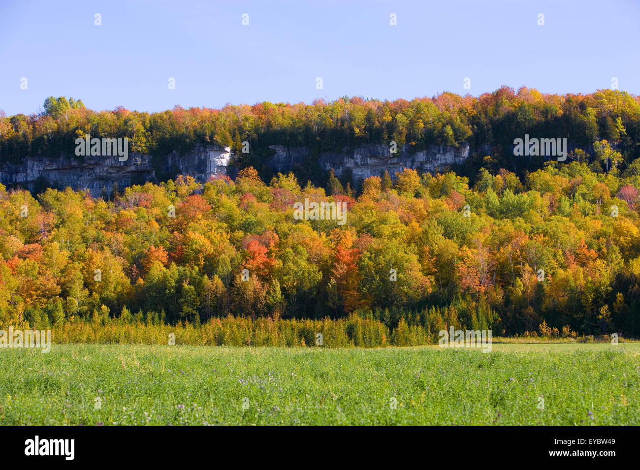 América del Norte, Canadá, Ontario, cerca de la península de Bruce "Wiarton' 'Niagara Escarpment' nombrado en 1990 por la UNESCO como Reservas Mundiales de Biosfera Foto de stock