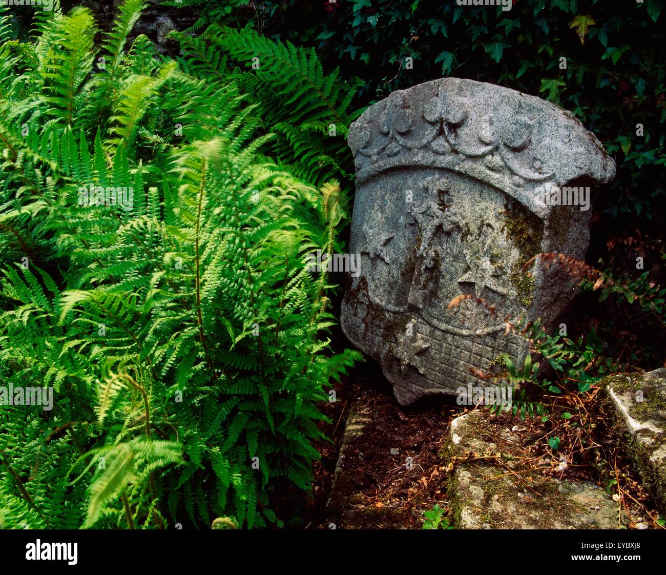 Bosque de Berkeley, Co Wexford, Irlanda; la piedra tallada en un Fernery durante el verano Foto de stock