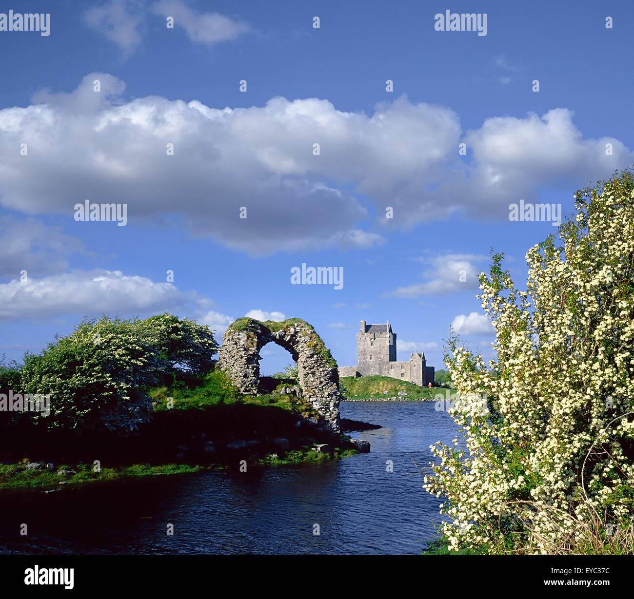 Castillo Dunguaire, Kinvara, Co Galway, Irlanda, el castillo del siglo 16 en la bahía de Galway Foto de stock