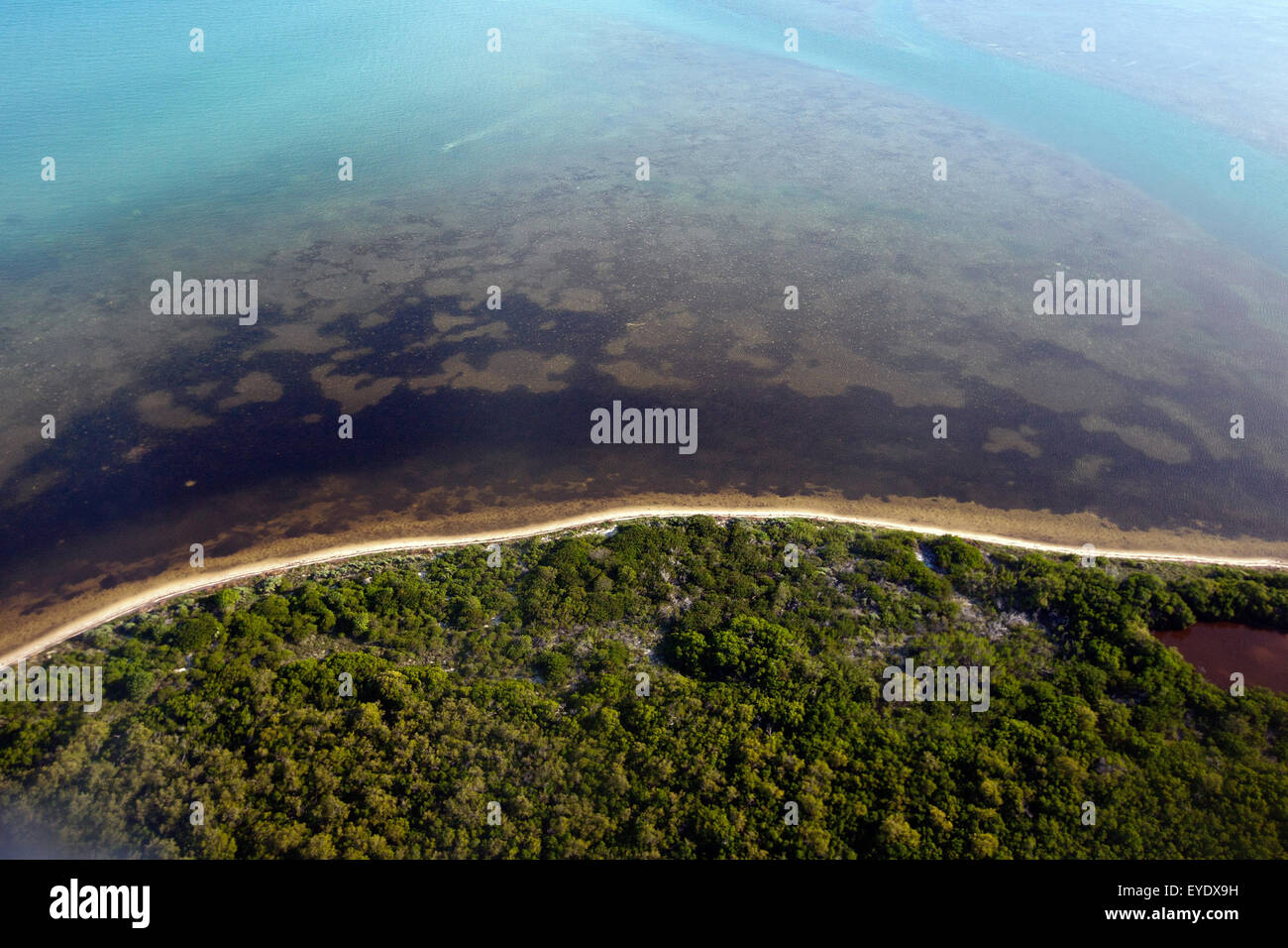Vista aérea del litoral de Marquesas Keys, Florida, Estados Unidos de América Foto de stock