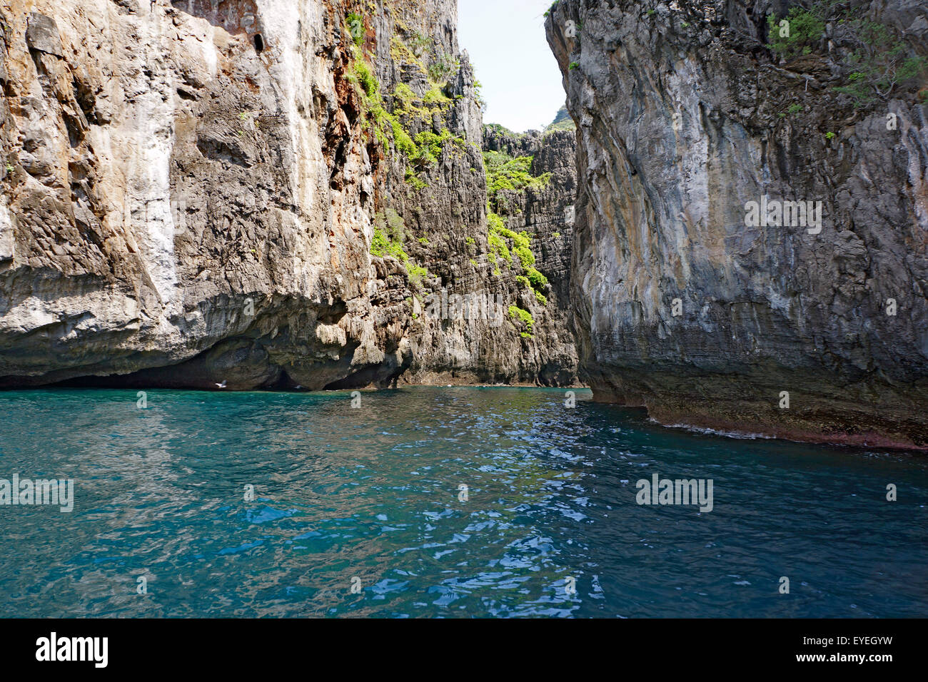 Tailandia Tailandia Koh Phi Phi Playa Maya Bay en la isla Koh Phi Phi Leh Foto de stock