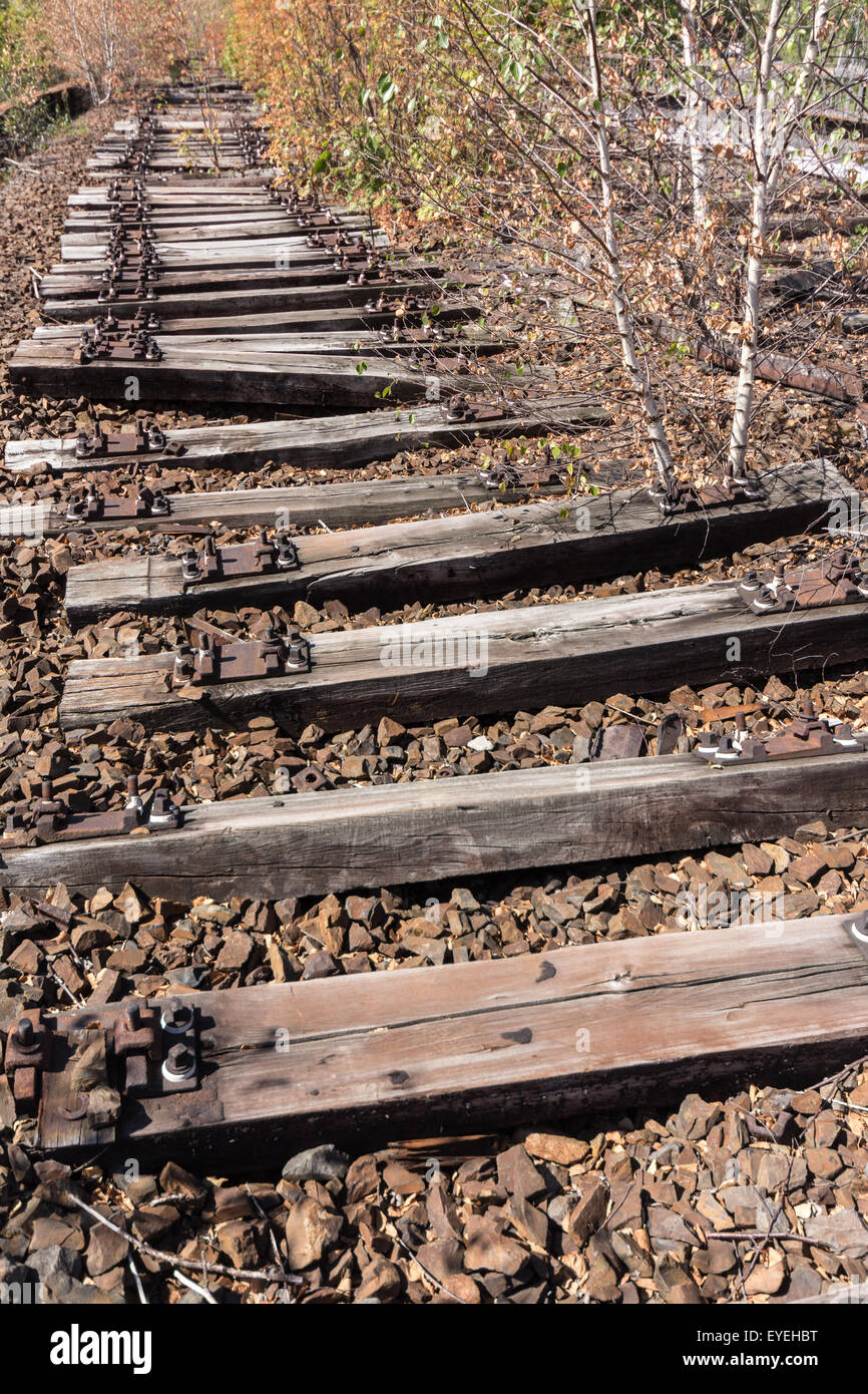 Viejo ferrocarril, el ferrocarril, las vías del ferrocarril- abandonado y cubierto Foto de stock