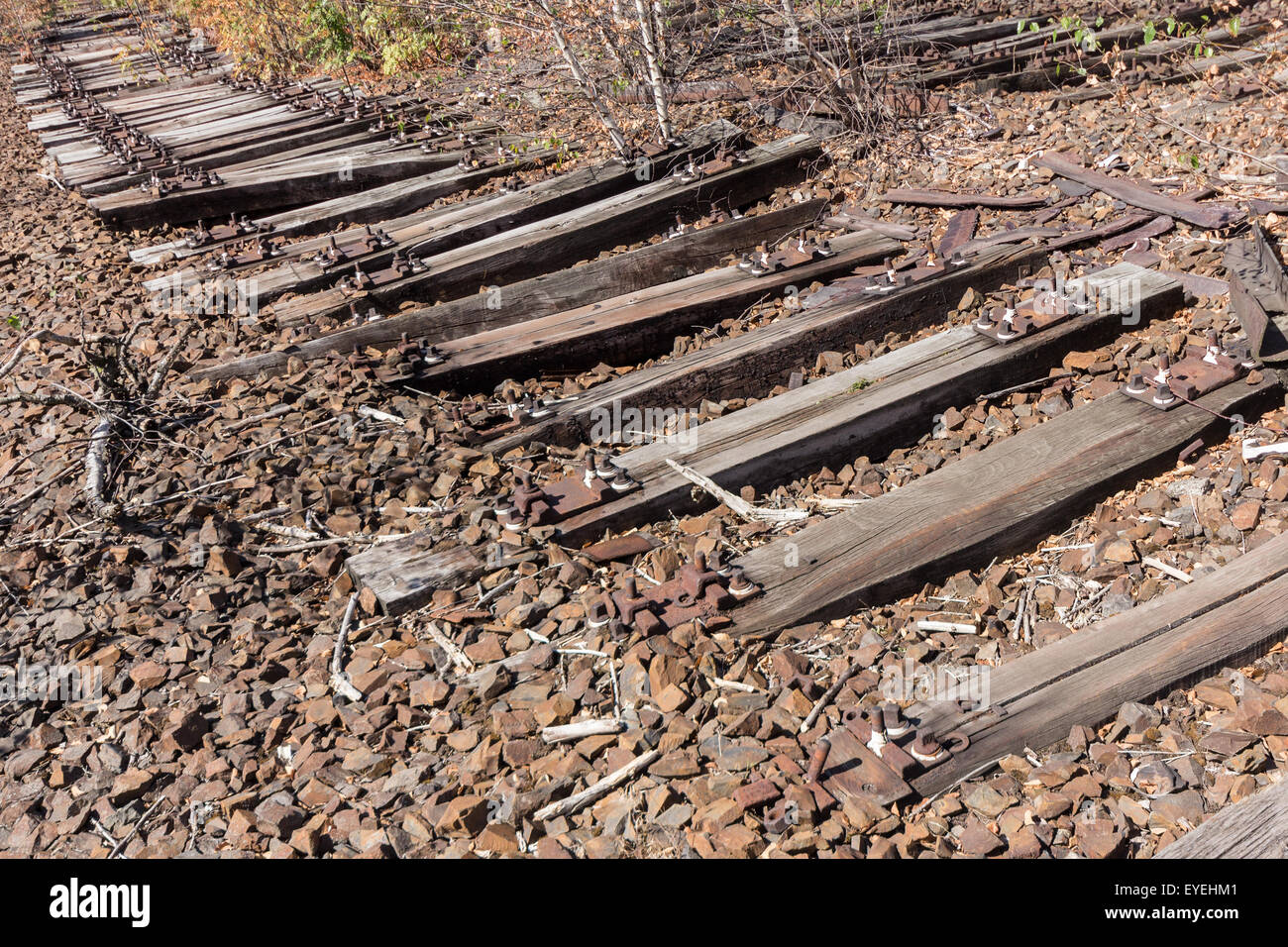 Viejo ferrocarril, el ferrocarril, las vías del ferrocarril- abandonado y cubierto Foto de stock