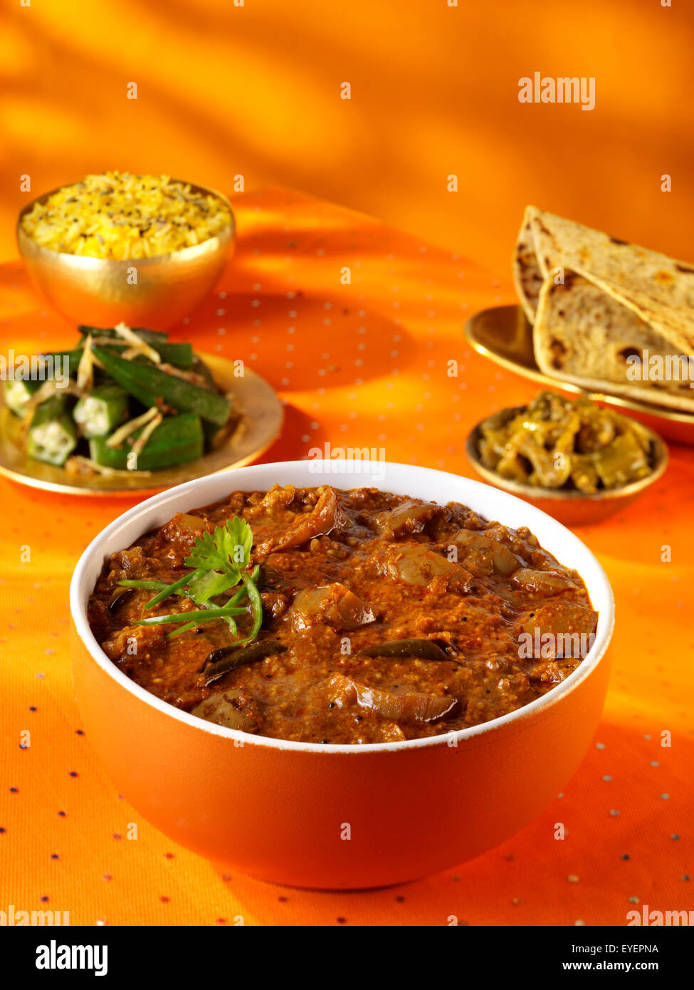 BRINJAL curry indio Foto de stock