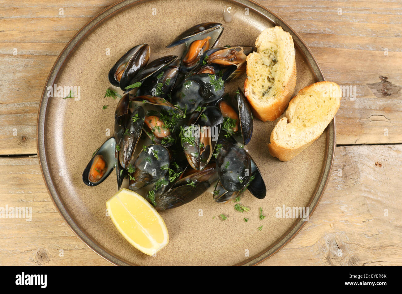Plato de mejillones cocidos en salsa de vino blanco Foto de stock