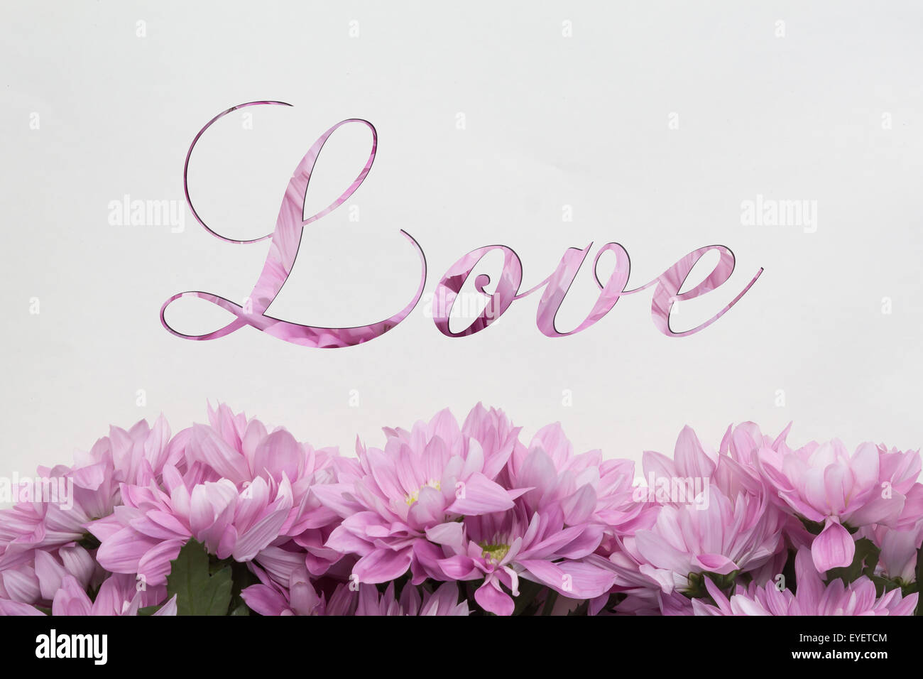 Amor flores - texto manuscrito y encantadora decoración floral Foto de stock