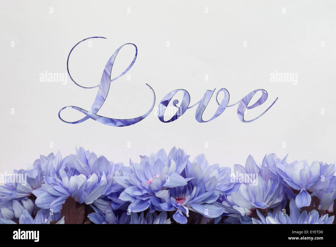 Amor flores - texto manuscrito y encantadora decoración floral Foto de stock