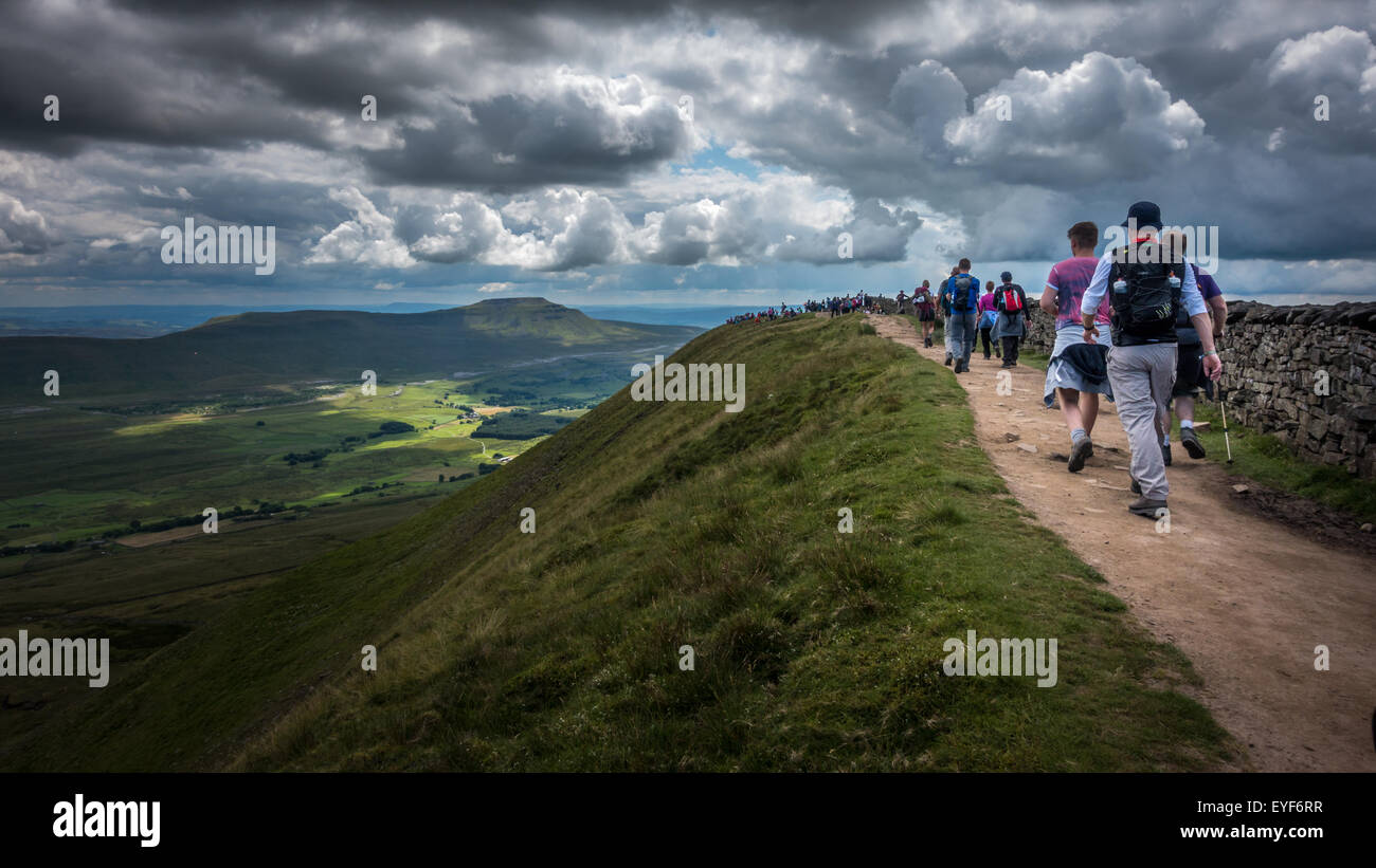Picos de Yorkshire Challenge - ocupado en la parte superior de Whernside Foto de stock