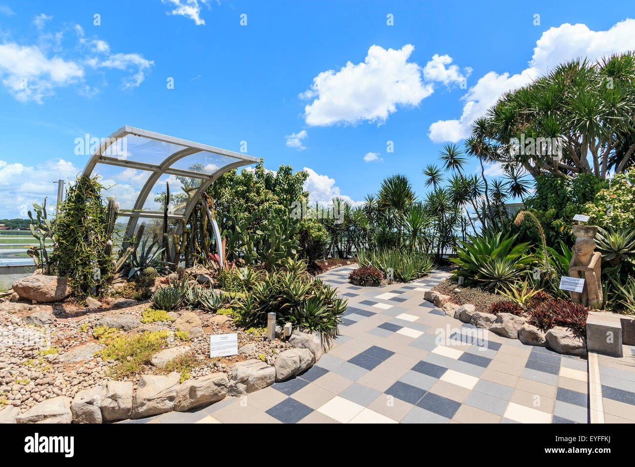 Jardín de Cactus en Changi de Singapur, el aeropuerto internacional. Foto de stock