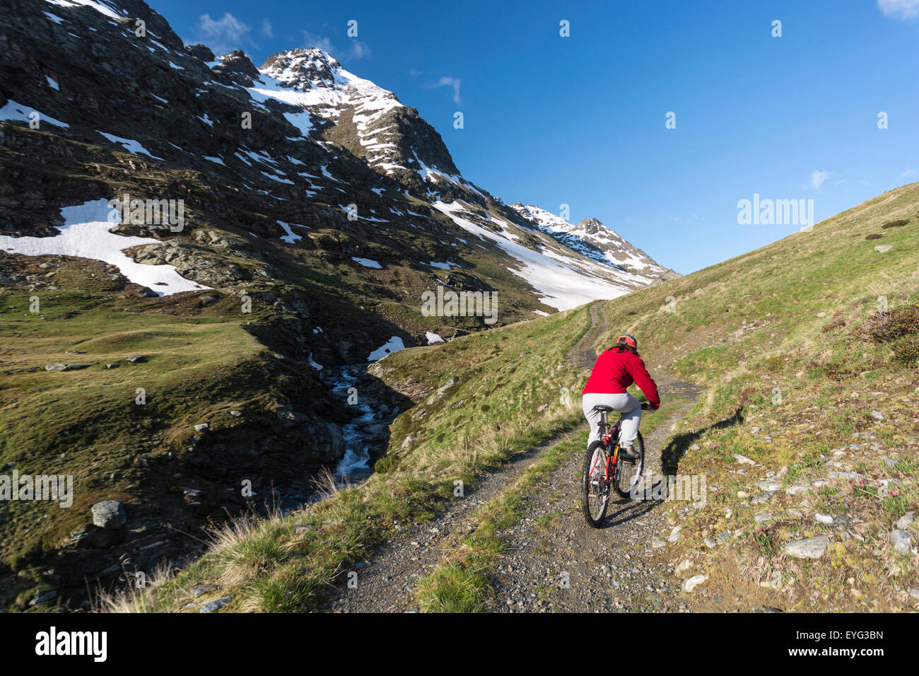 Italia Lombardía, el Parque Nacional de Stelvio los Alpes Valle Rezzalo ciclo ruta bg.: Mt. Costa di Gavia Foto de stock
