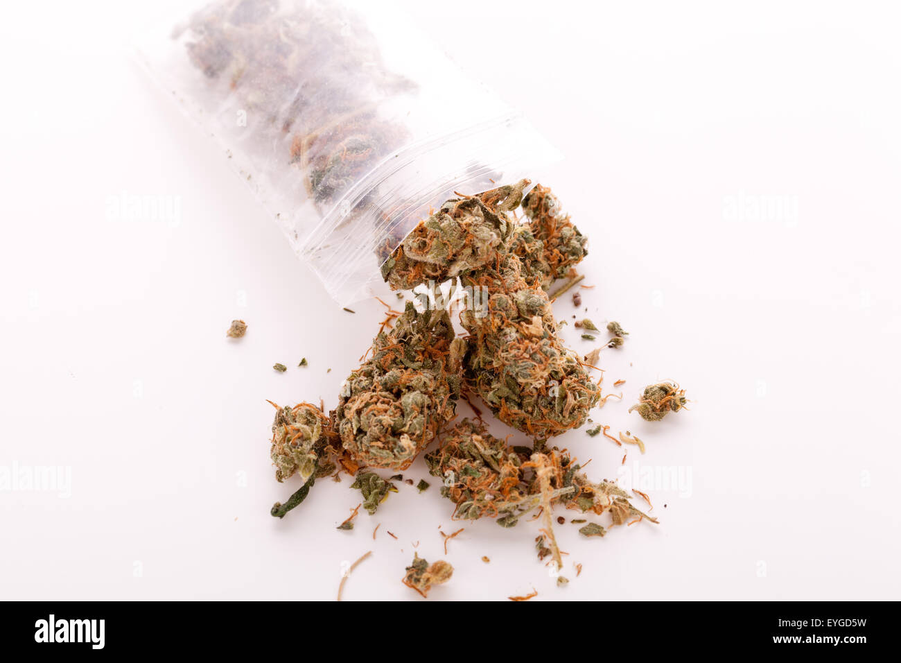 Cerrar el cannabis o la marihuana hojas secas utilizadas para drogas psicoactivas o Medicina en la parte superior de la tabla Foto de stock