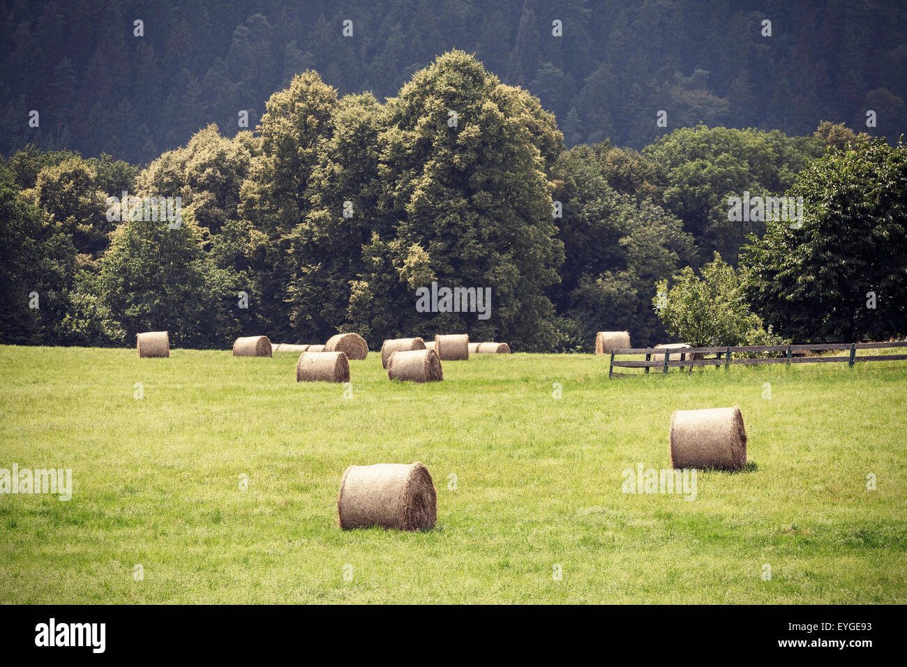 Campo de verano en tonos retro con balas de heno, Vignette efecto película antigua. Foto de stock