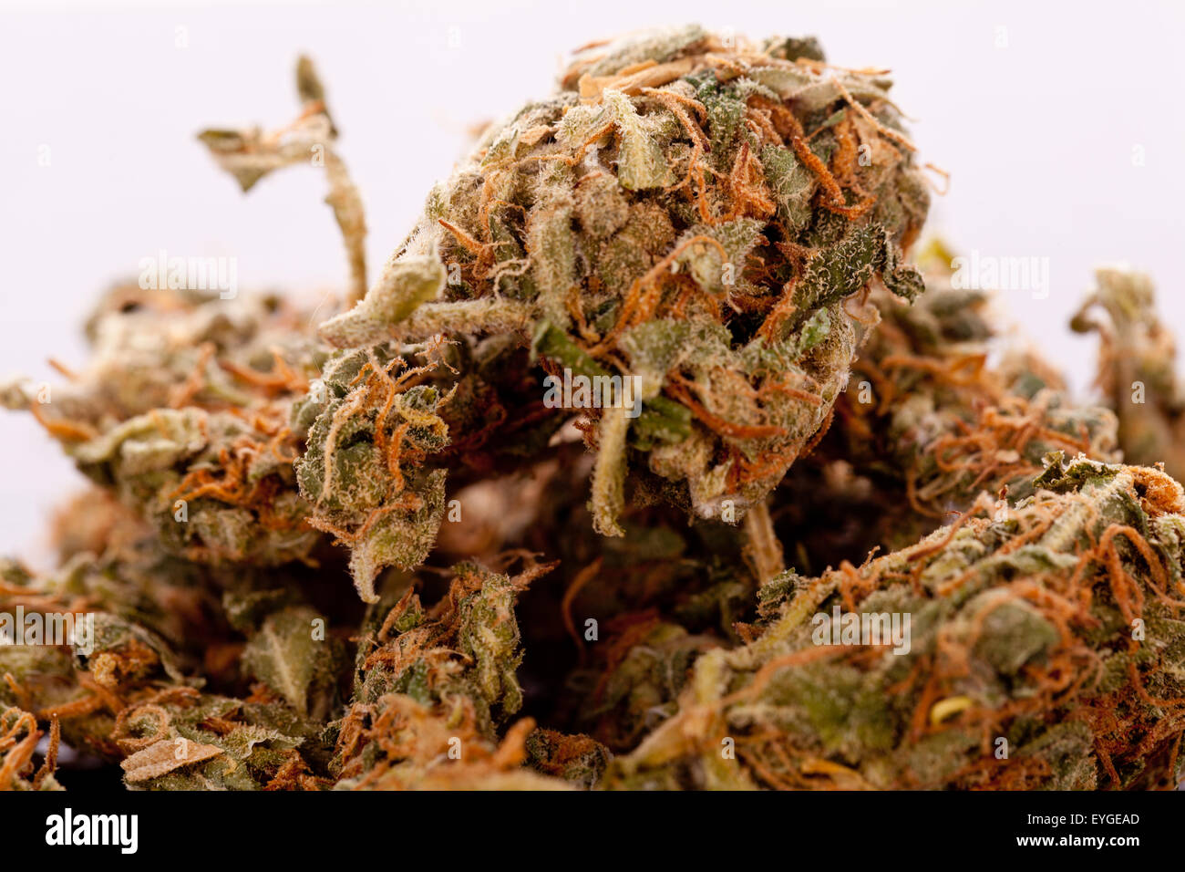 Cerrar el cannabis o la marihuana hojas secas utilizadas para drogas psicoactivas o Medicina en la parte superior de la tabla Foto de stock