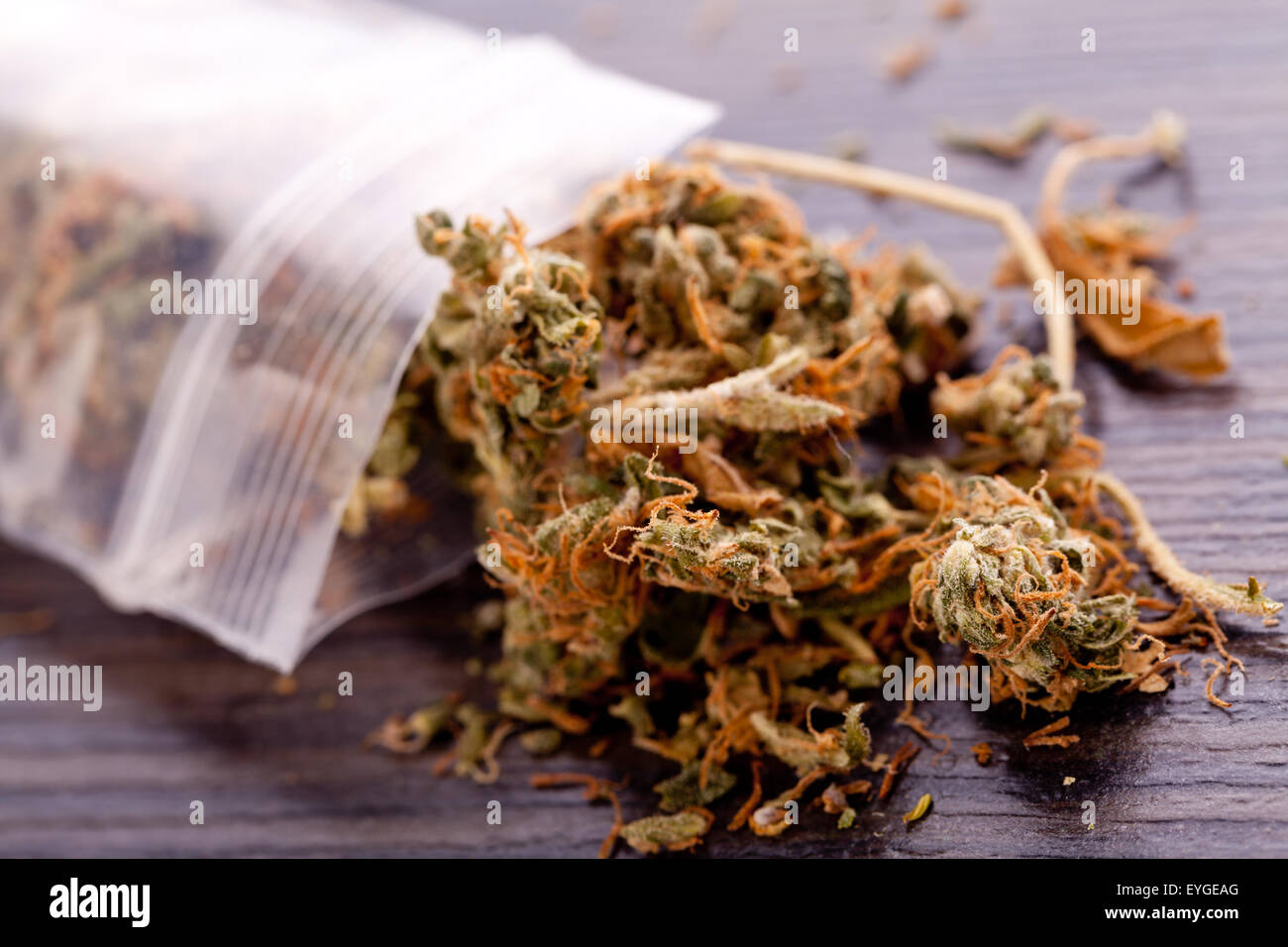 Cerrar el cannabis o la marihuana hojas secas utilizadas para drogas psicoactivas o Medicina en la parte superior de la tabla Foto de stock