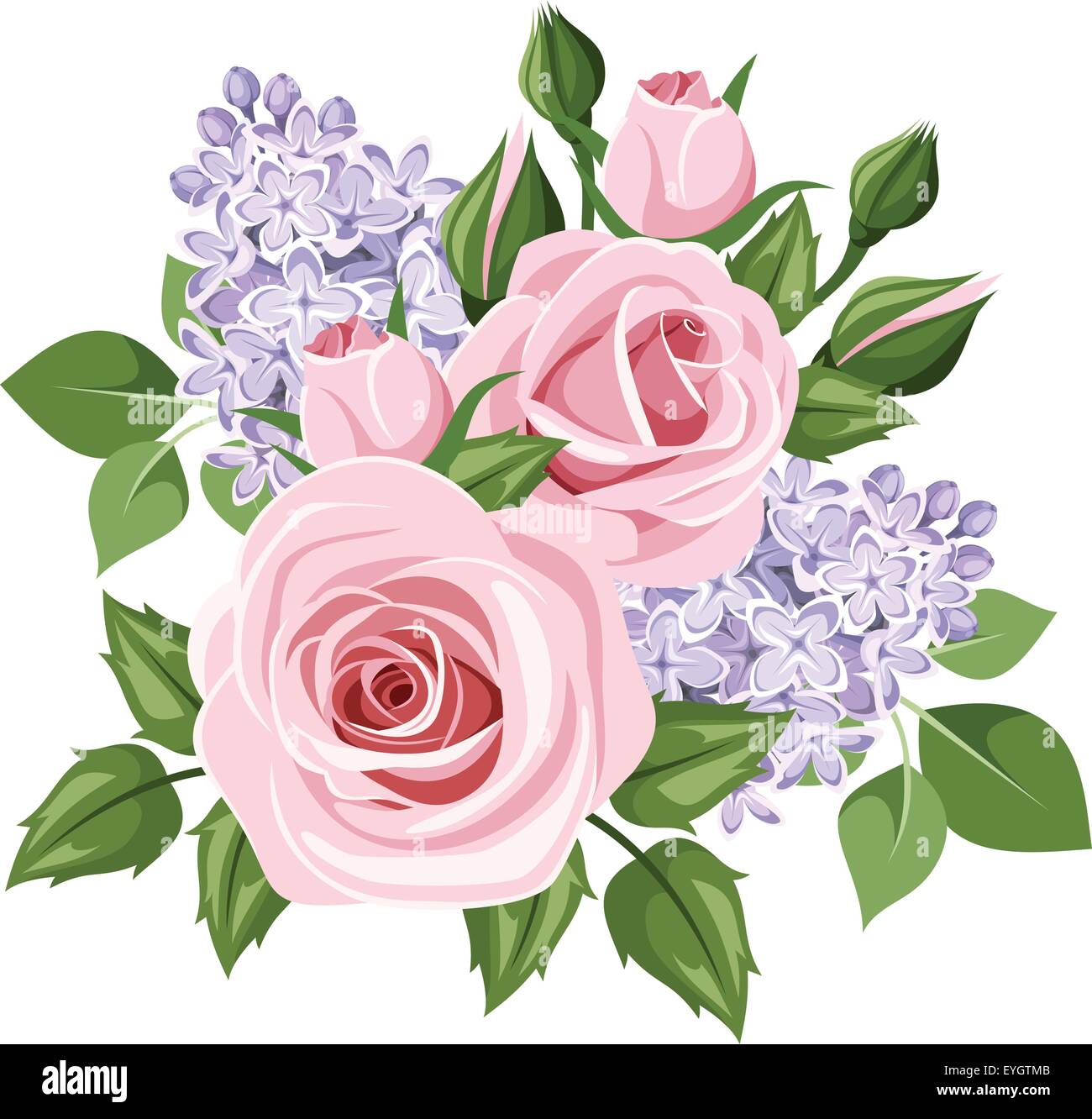 Rosas rosas y flores de color lila. Ilustración vectorial Imagen Vector de  stock - Alamy