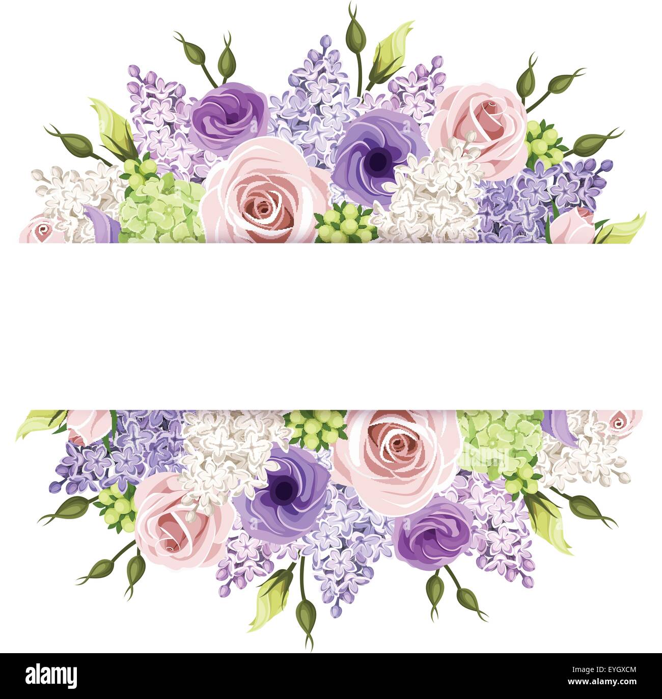 Con fondo rosa, violeta y rosas blancas y lila flores. Eps vectoriales-10  Imagen Vector de stock - Alamy