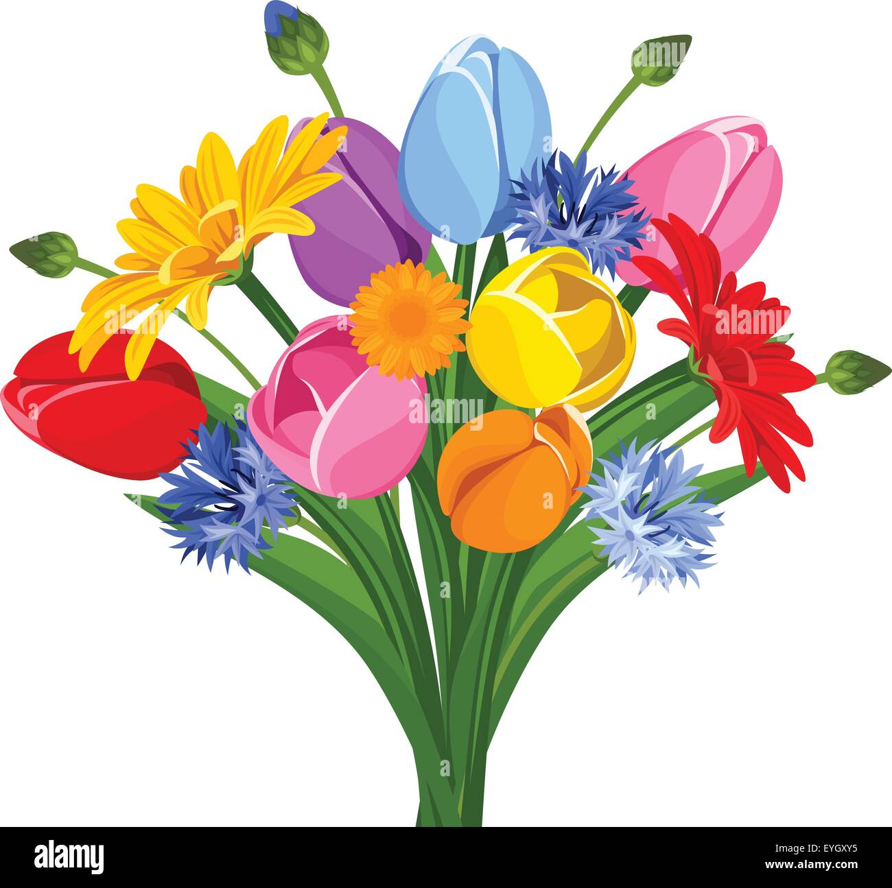 Bouquet de gerberas coloridos tulipanes, flores y acianos. Ilustración vectorial. Ilustración del Vector