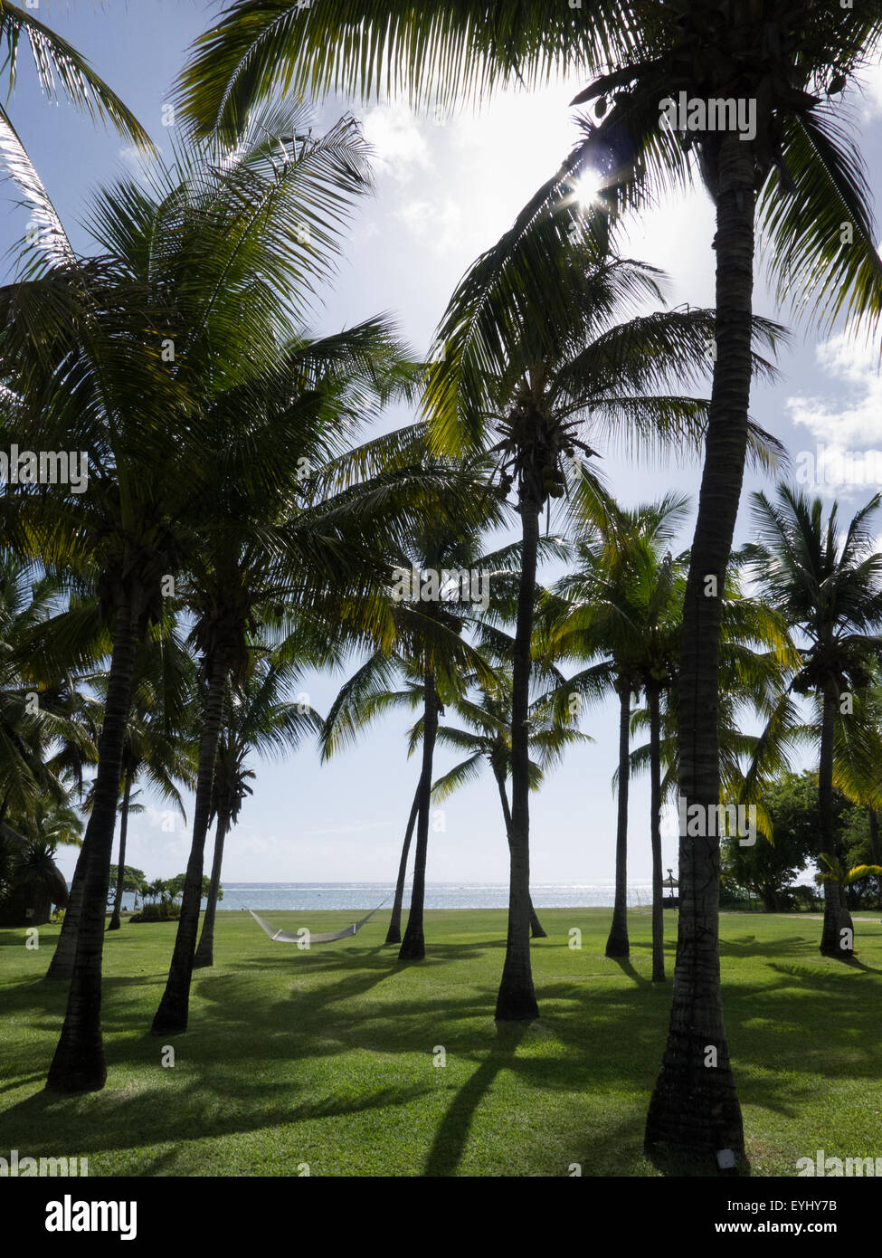 Flic en Flac, Mauricio. La Piragua complejo turístico. Hamaca entre palmeras por mar. Foto de stock