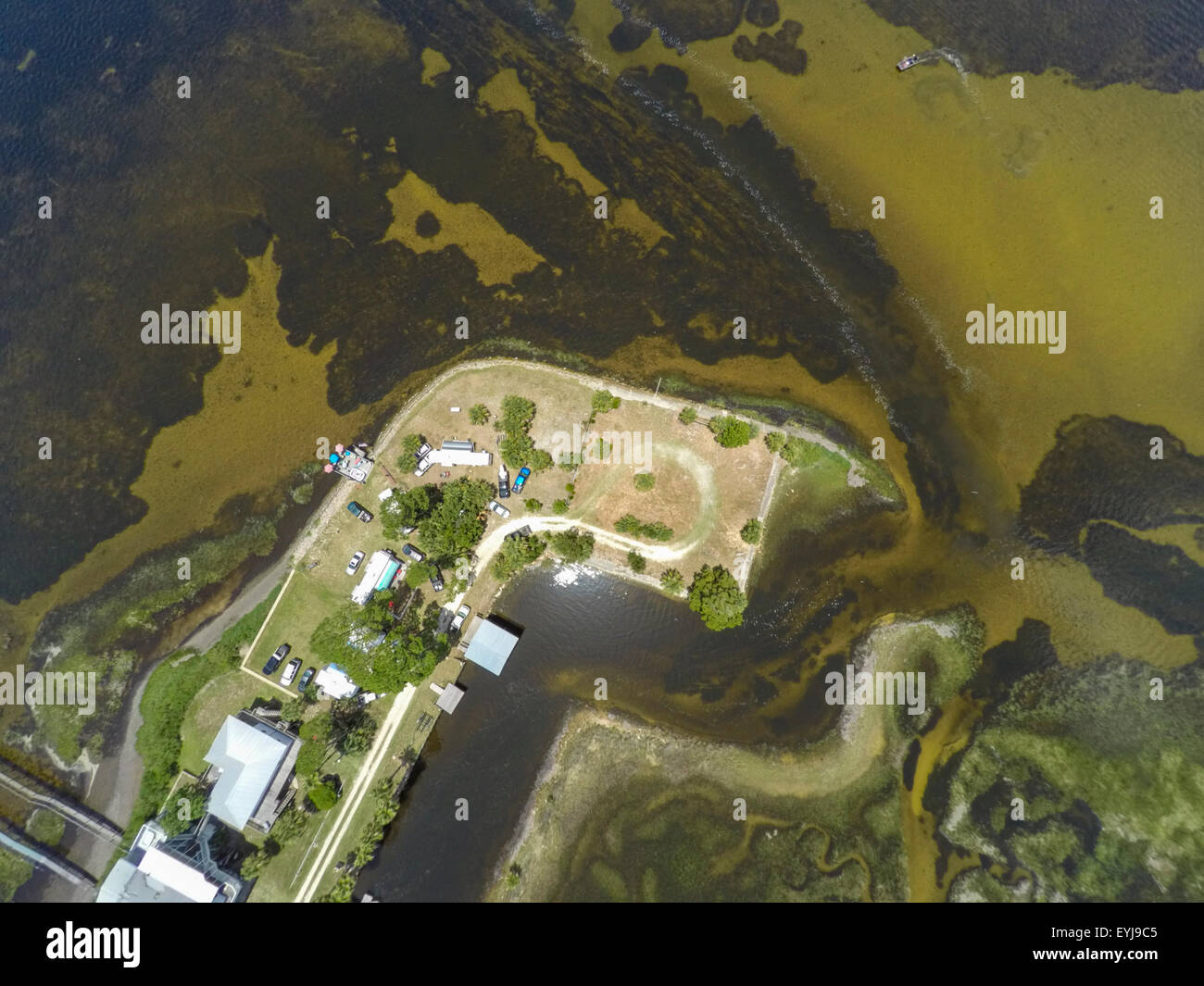 Dark Island, Reserva Acuática de hierbas marinas Big Bend, Florida Foto de stock