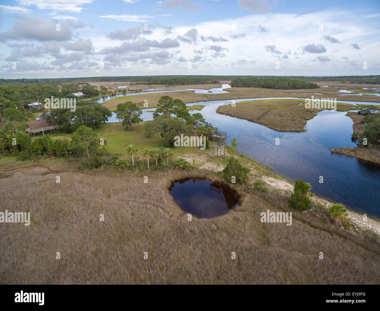 Salt Marsh revestimiento Fish Creek, Big Bend Algas Marinas Aquatic preservar, Florida Foto de stock