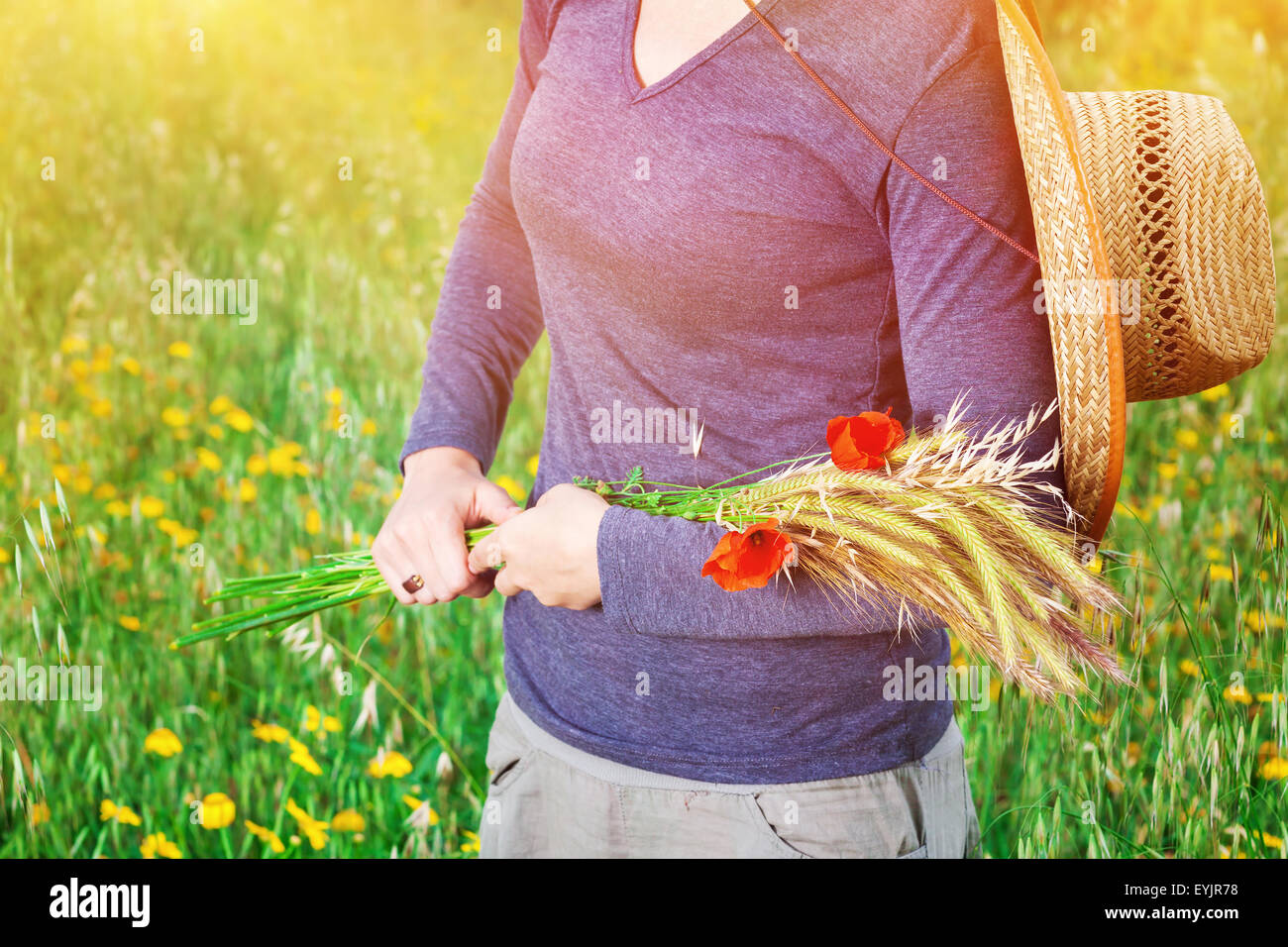 Mujer de pie en el campo con bouquet otoñal en manos doradas maduras espigas de trigo y amapolas rojas, parte del cuerpo Foto de stock