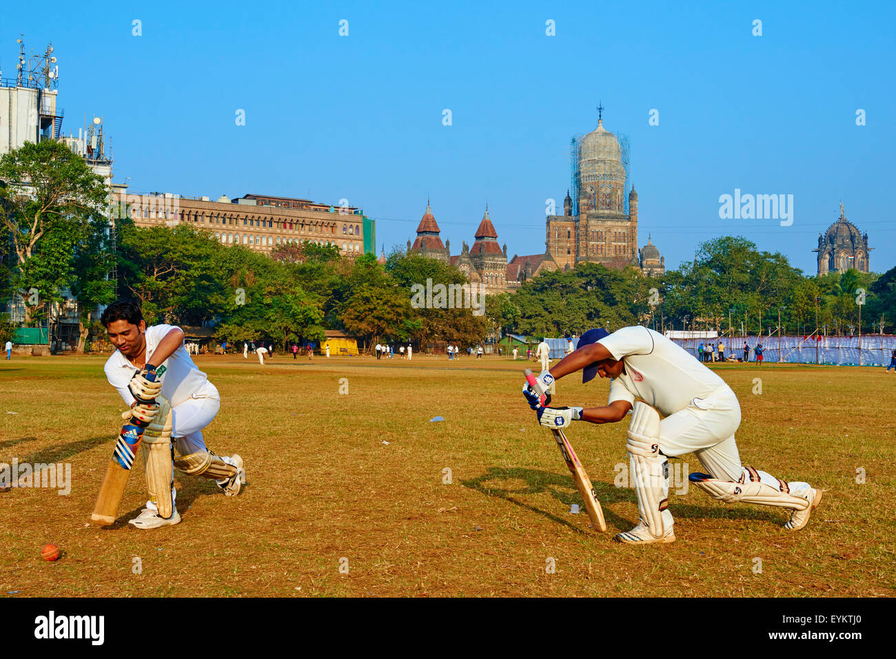 En Maharashtra, India, Mumbai (Bombay), partido de críquet en el maidan Foto de stock