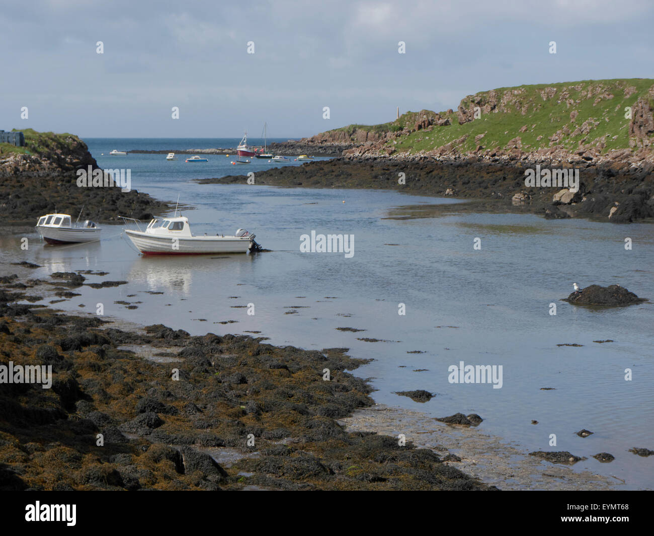 Estuario Croig, Isle Of Mull, Escocia, julio de 2015 Foto de stock