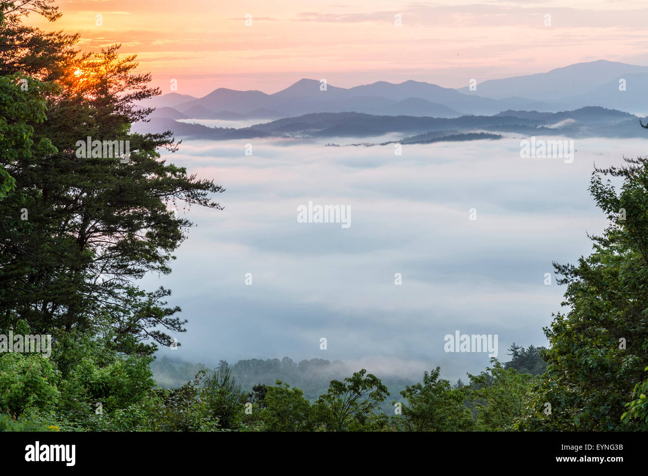 Valle cubierto de niebla con Great Smoky Mountains en el fondo. Amanecer en el paisaje americano de Tennessee. Foto de stock