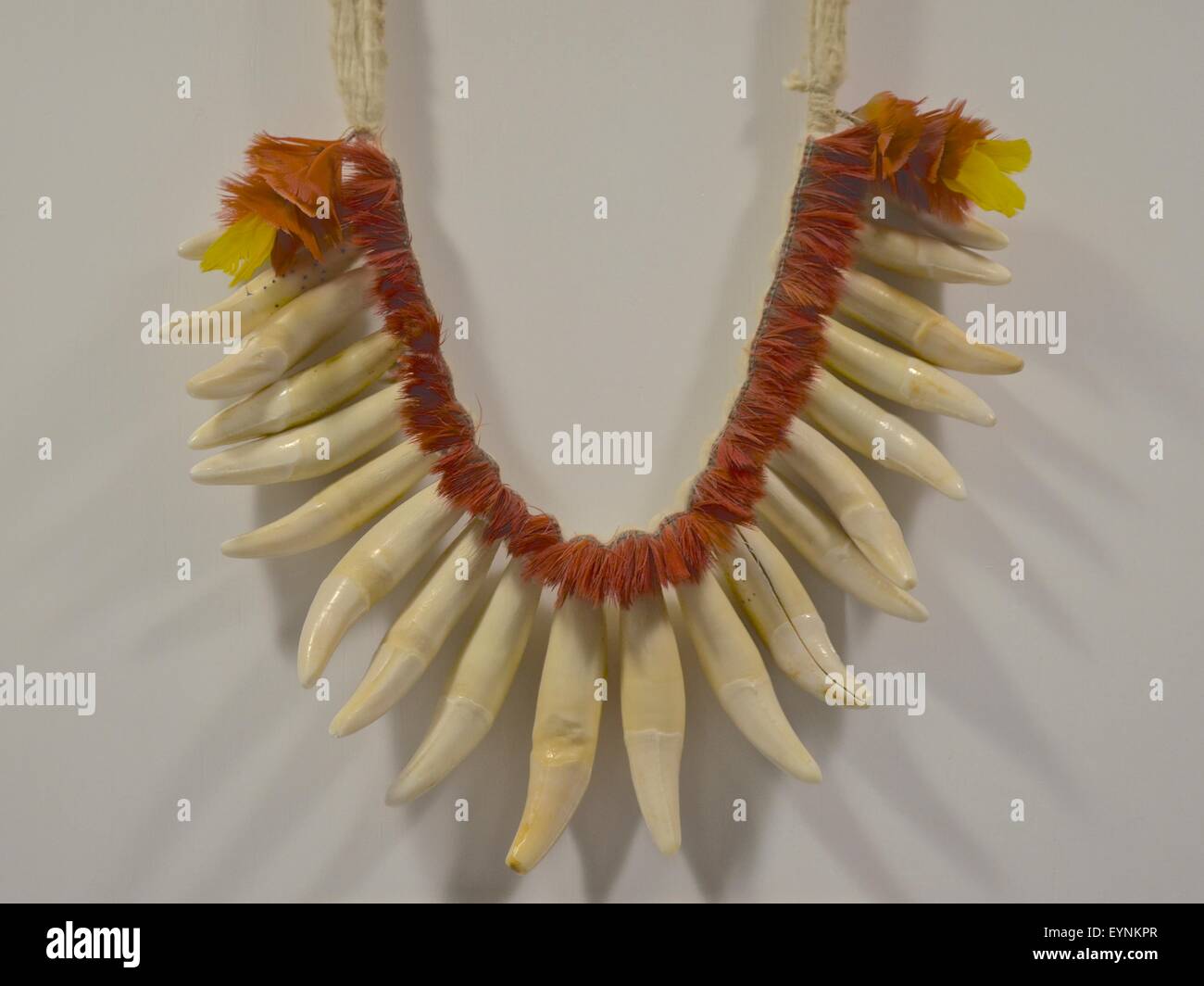 Collar de dientes fotografías e imágenes de alta resolución - Alamy