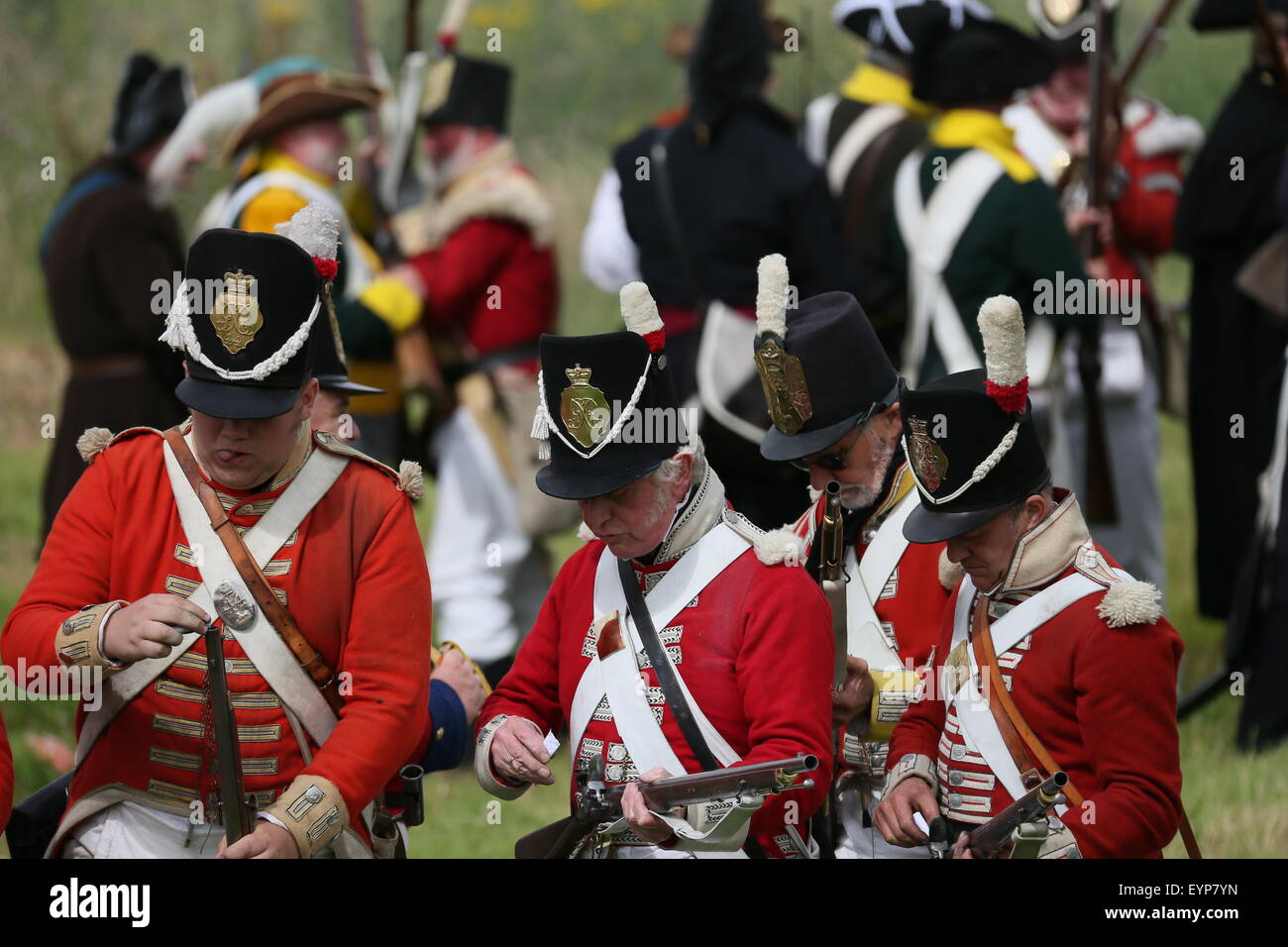 El condado de Wexford, Irlanda. 2 ago, 2015. Re-enactors vestidos como soldados británicos recargar durante la batalla de vinagre Hill re-promulgación cerca de Enniscorthy Town en el Condado de Wexford, Irlanda representando una histórica batalla entre las Naciones irlandeses y las fuerzas británicas en 1798. Crédito: Brendan Donnelly/Alamy Live News Foto de stock