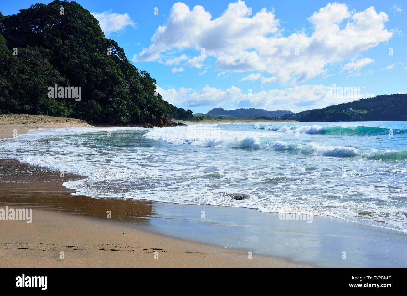 Playa de agua caliente, península Coromandel, Isla del Norte, Nueva Zelanda Foto de stock