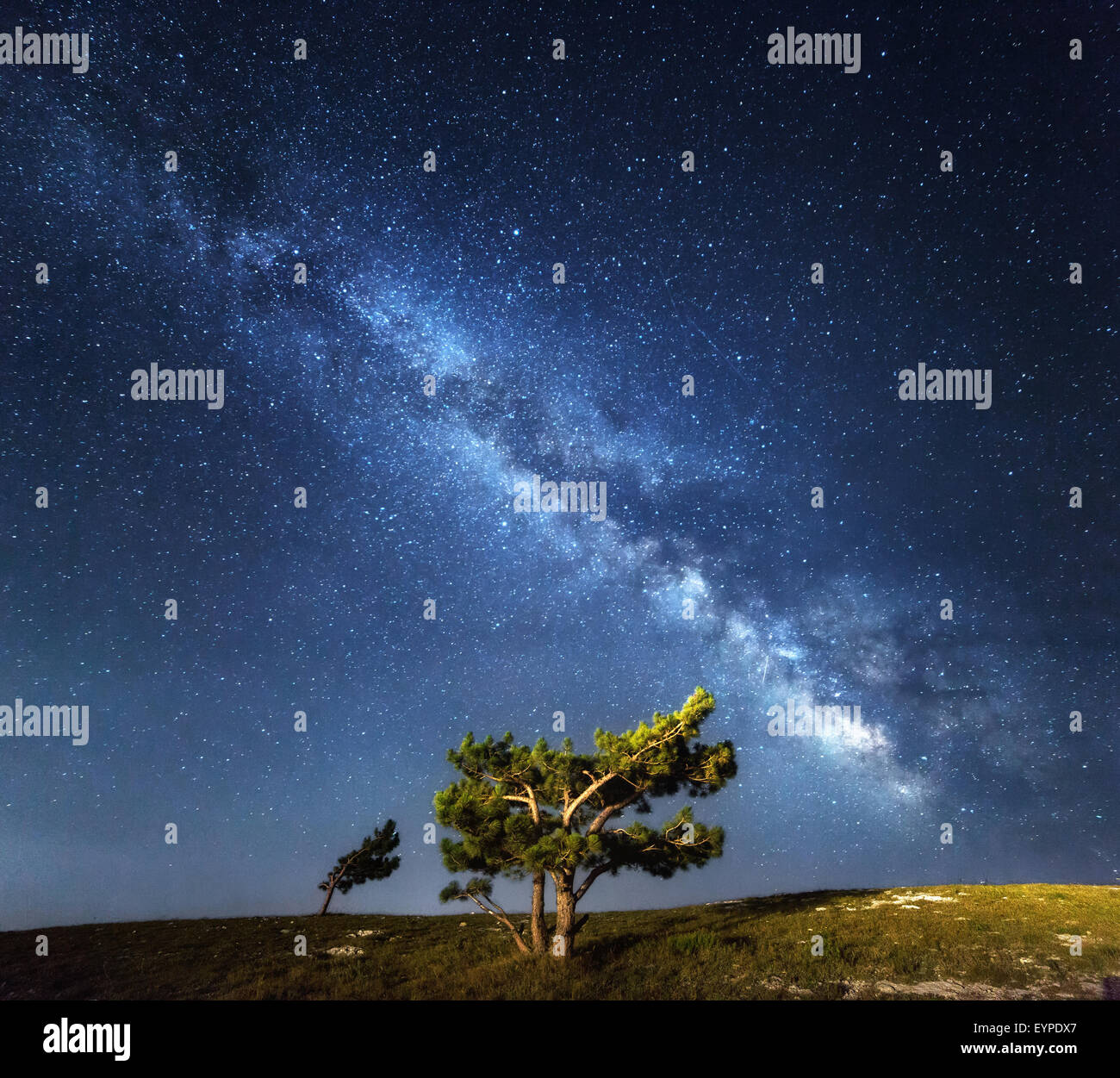 Vía Láctea. Verano hermoso cielo nocturno con estrellas en Crimea Foto de stock