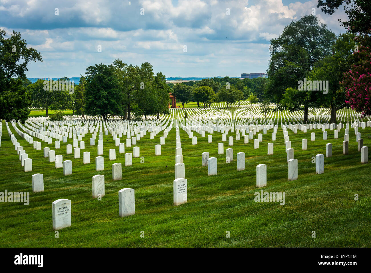 Filas de tumbas en el Cementerio Nacional de Arlington en Arlington, Virginia Fotografía de