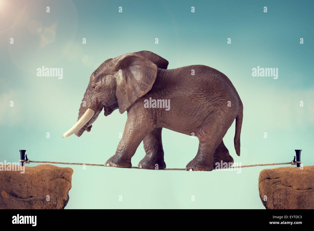 Elefante caminando sobre una cuerda floja Foto de stock