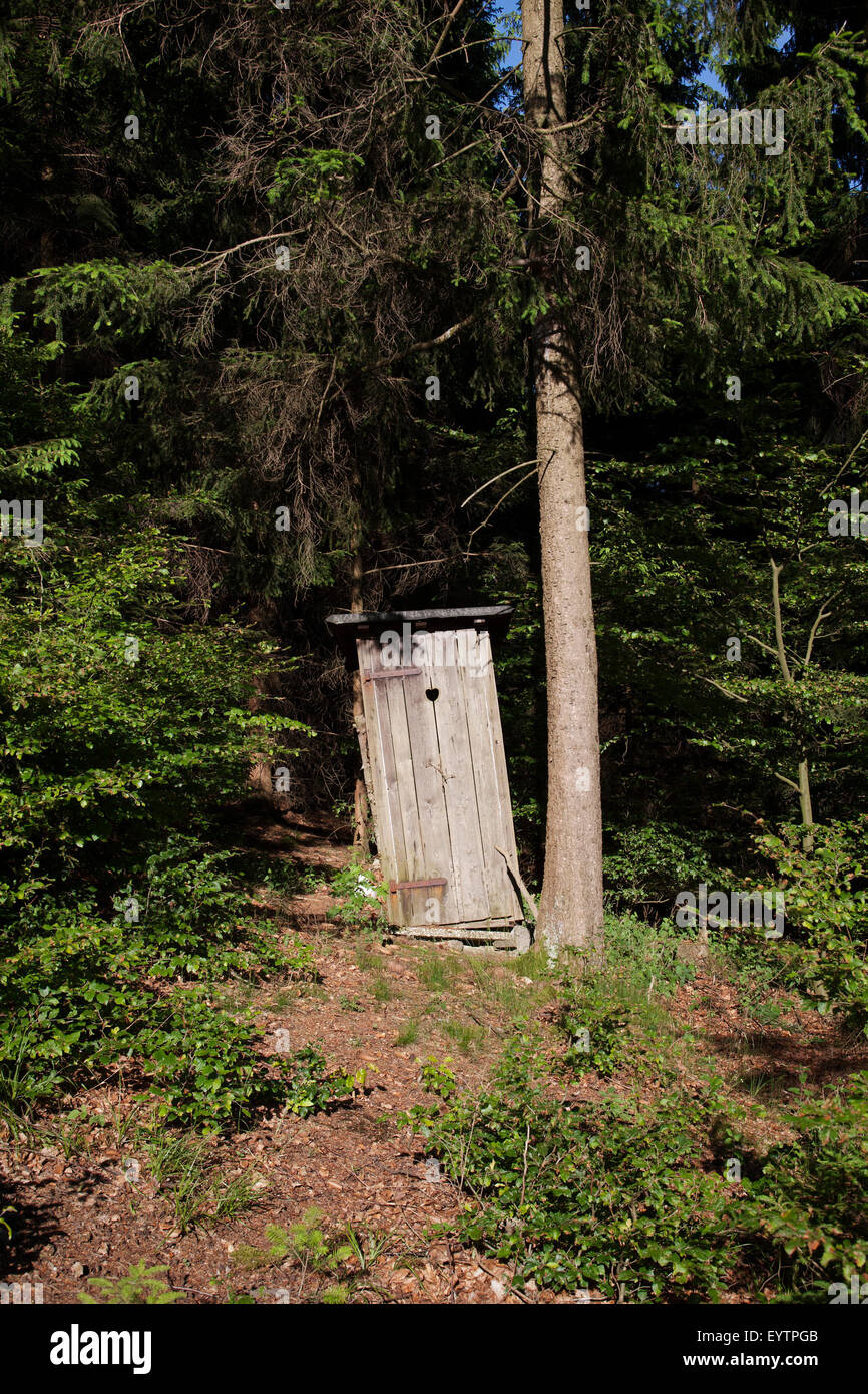 Armario de tierra en el bosque Fotografía de stock - Alamy