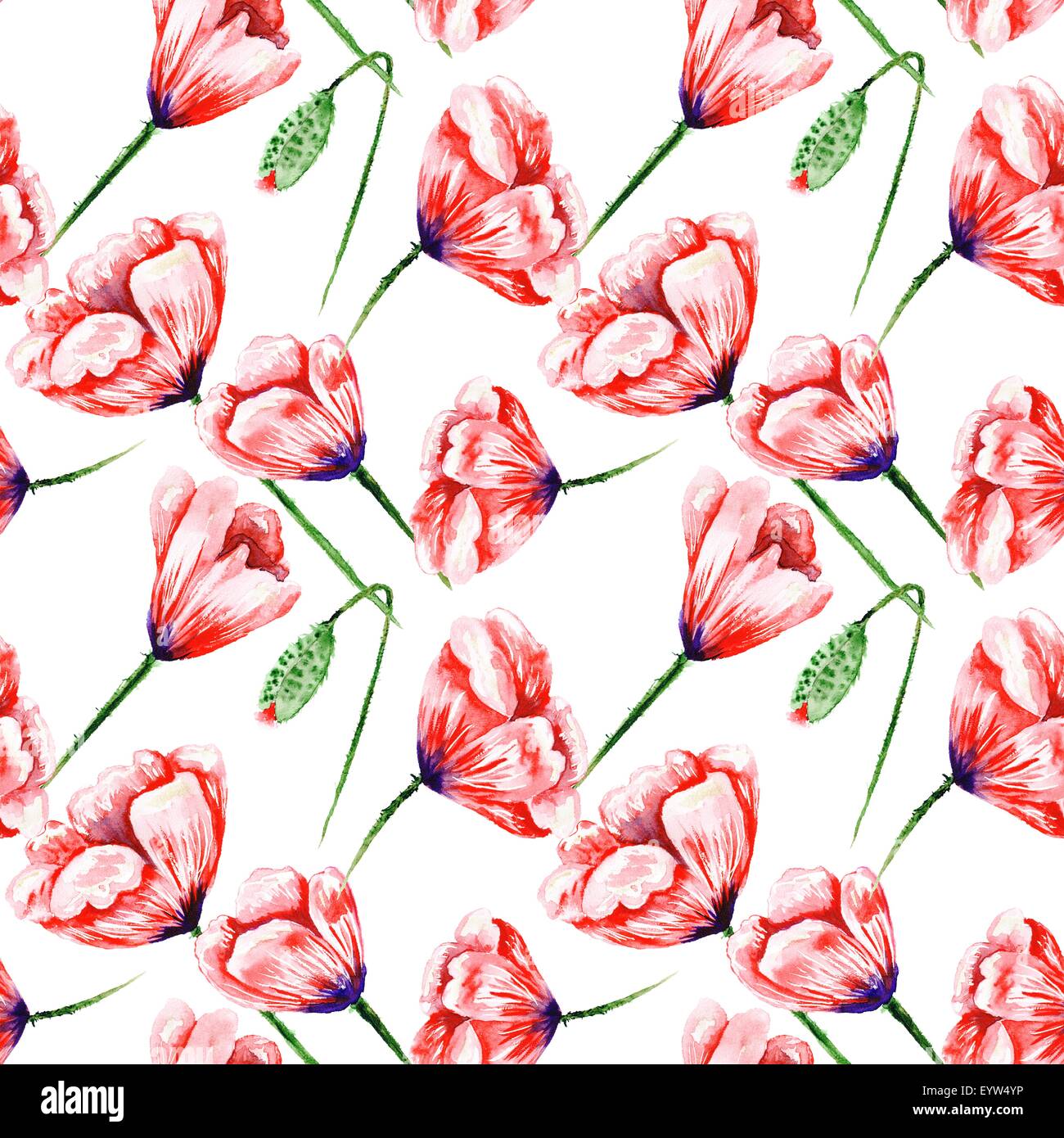 My Image 15