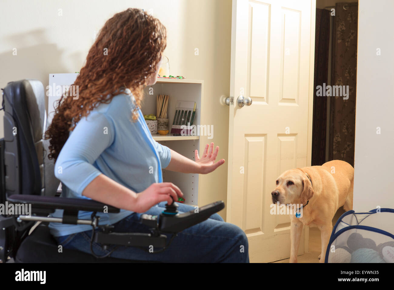 Mujer con distrofia muscular en su poder silla diciéndole a la estancia de  perros de servicio Fotografía de stock - Alamy