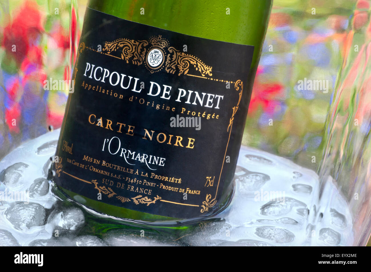 Picpoul de Pinet etiqueta de vino blanco seco Languedoc en enfriador de vino en terraza de jardín floral de verano al aire libre Languedoc Francia Foto de stock